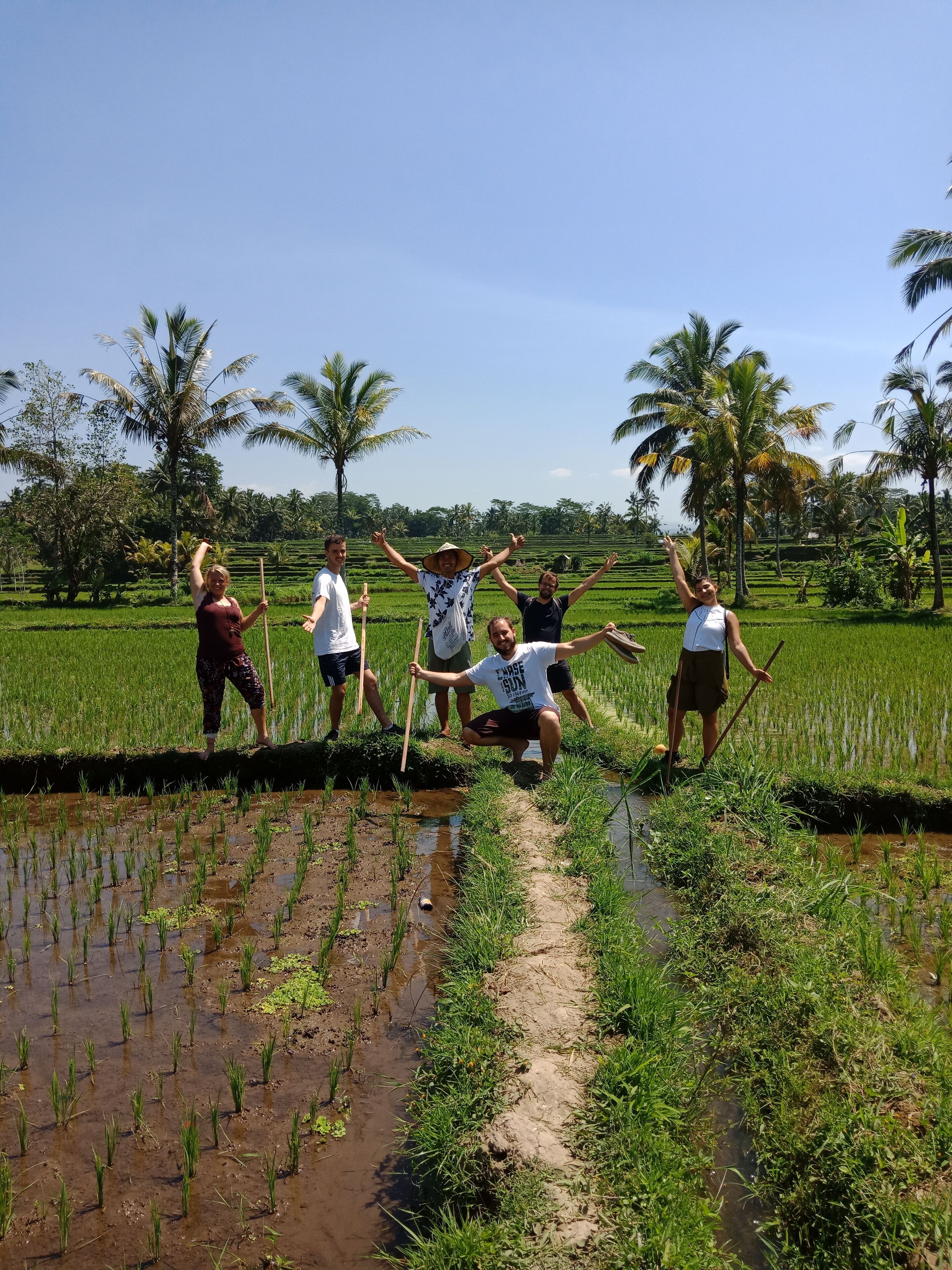 Ubud Sawah Scenery Villa and Homestay