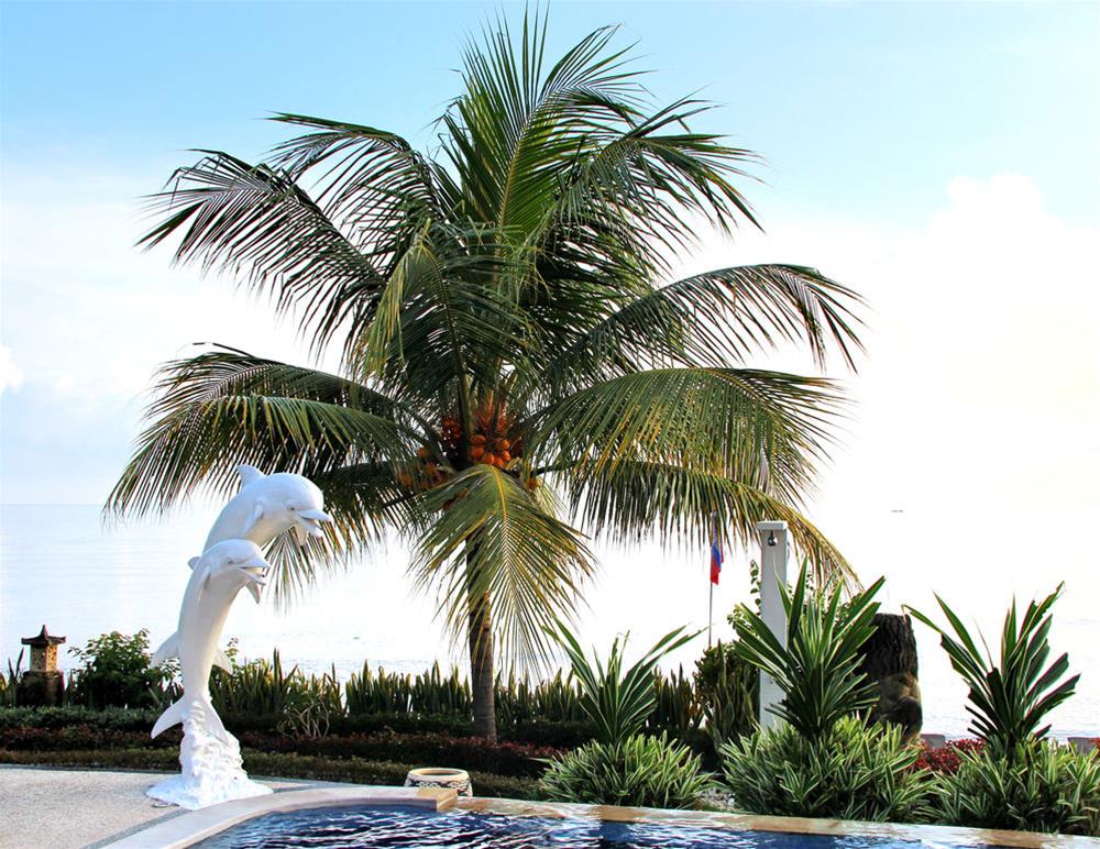 Bondalem Beach Club