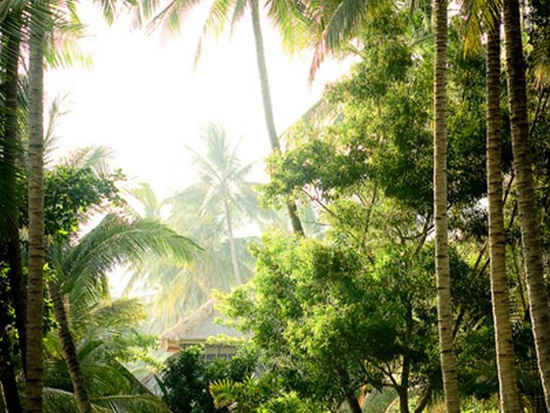 Gaia-Oasis Pantai