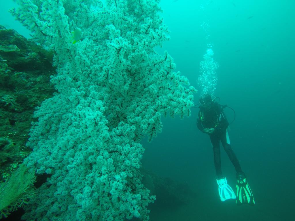 Ocean View Tulamben Dive And Resort