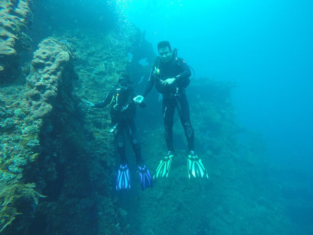 Ocean View Tulamben Dive And Resort