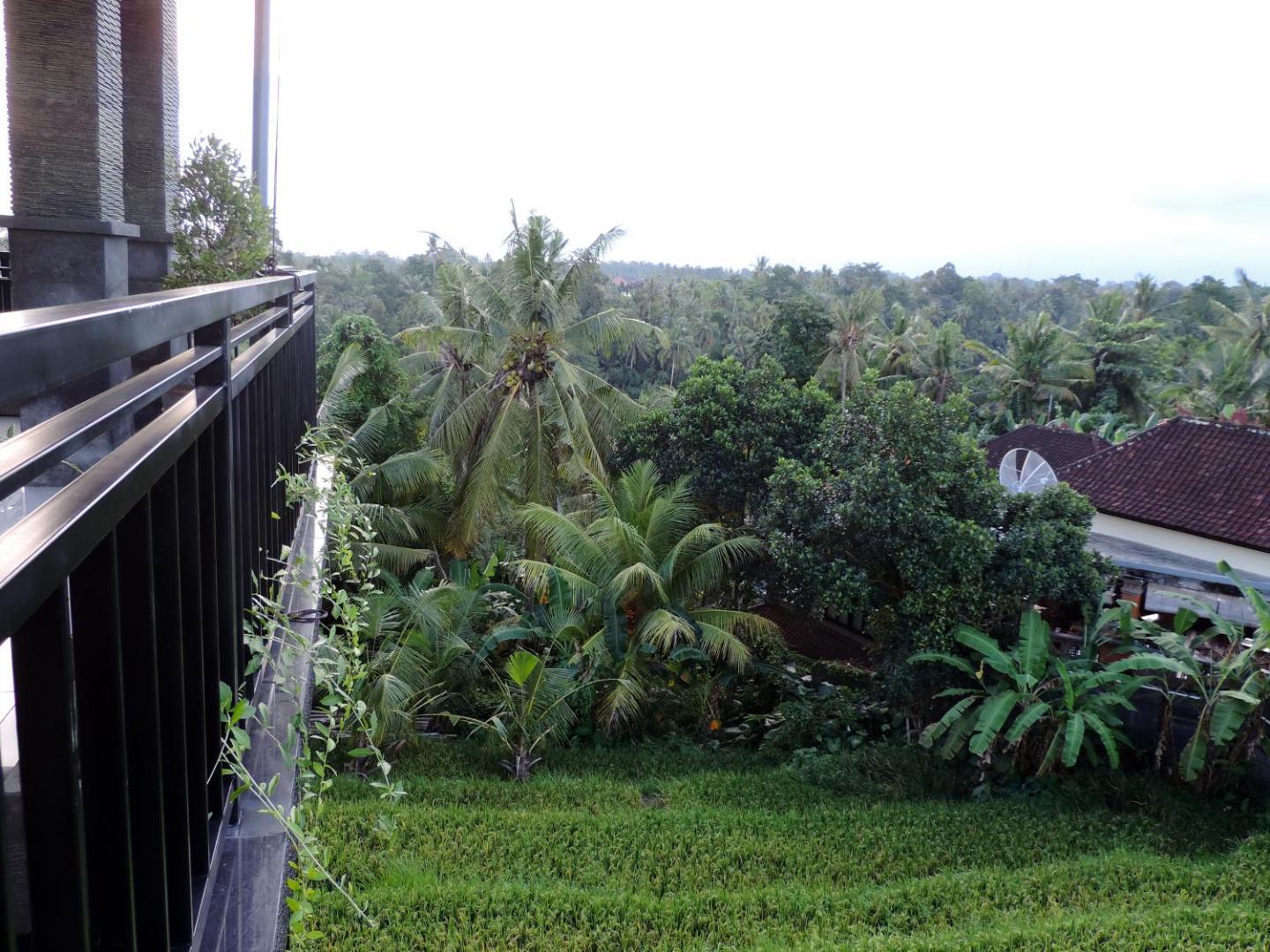 Adi Bisma Inn