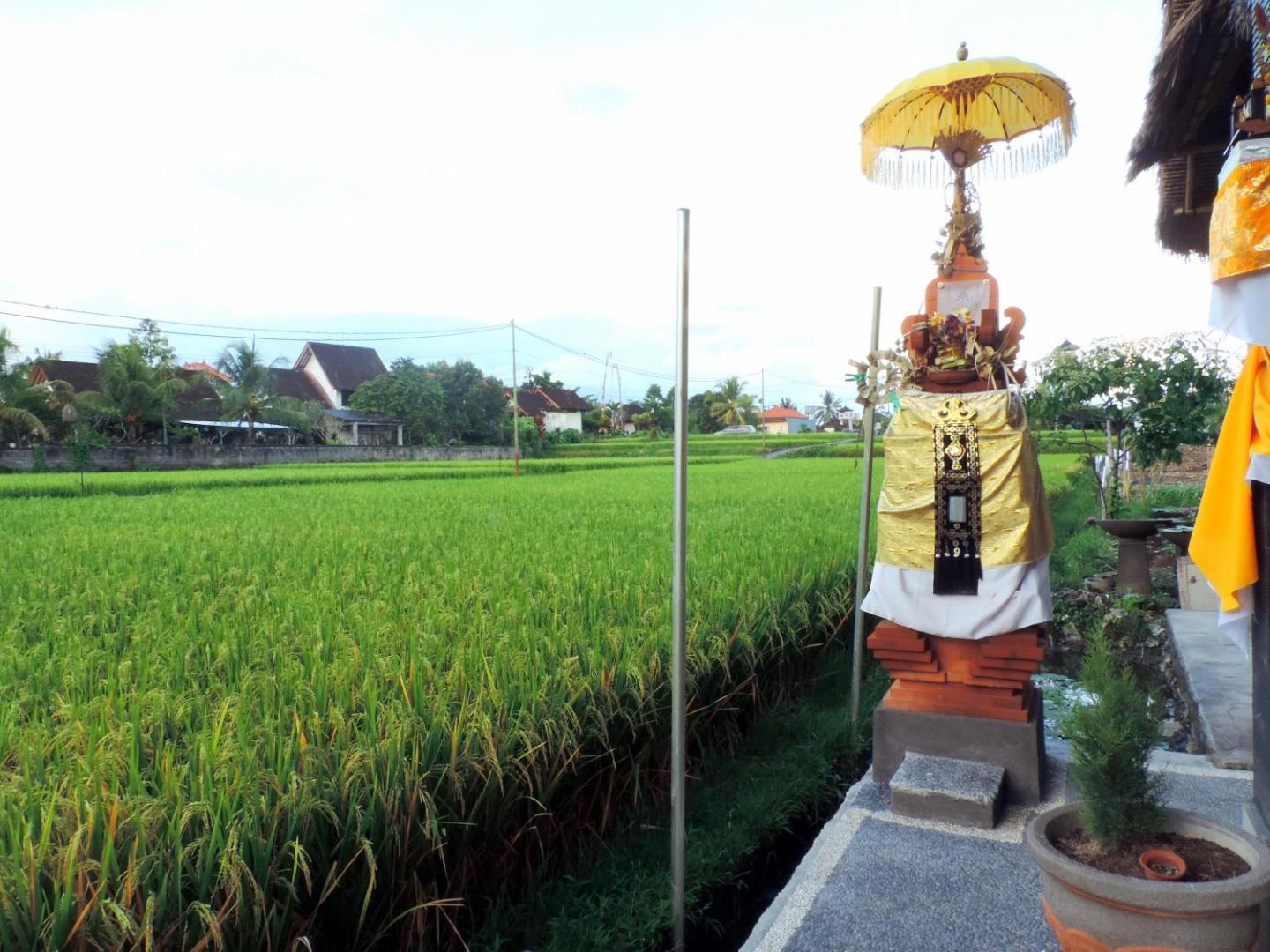 Adi Bisma Inn