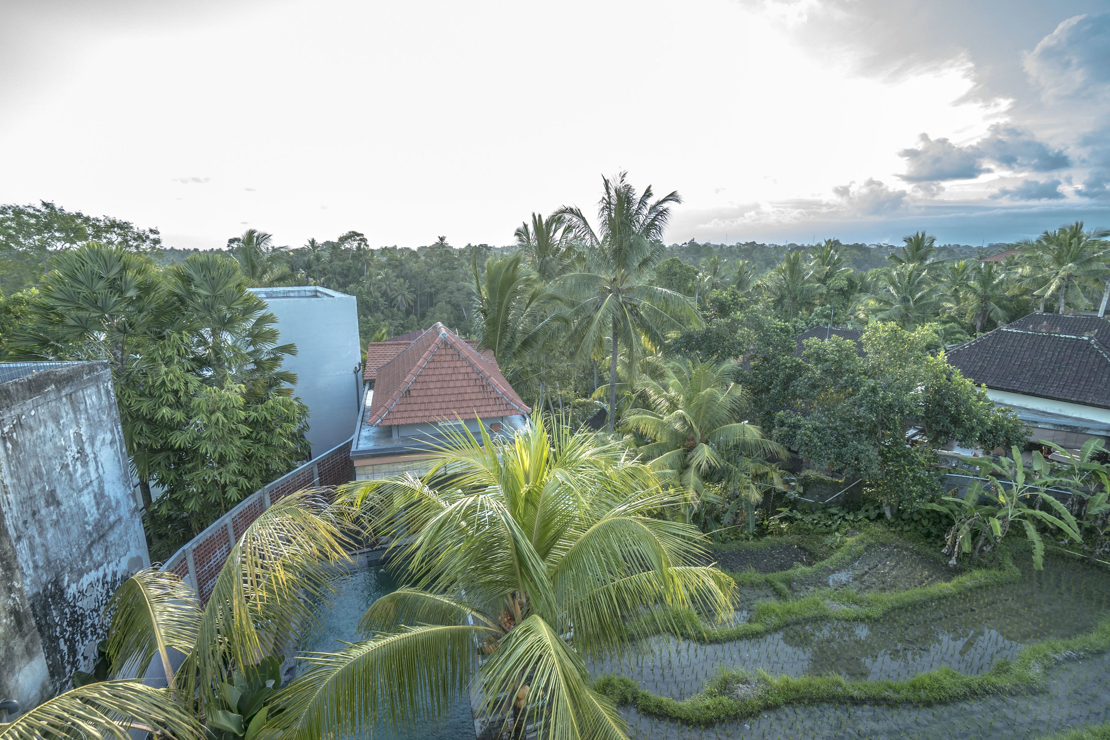Adi Bisma Inn