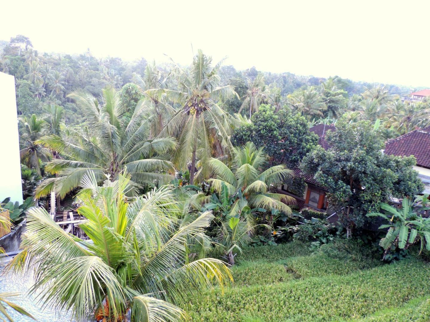 Adi Bisma Inn