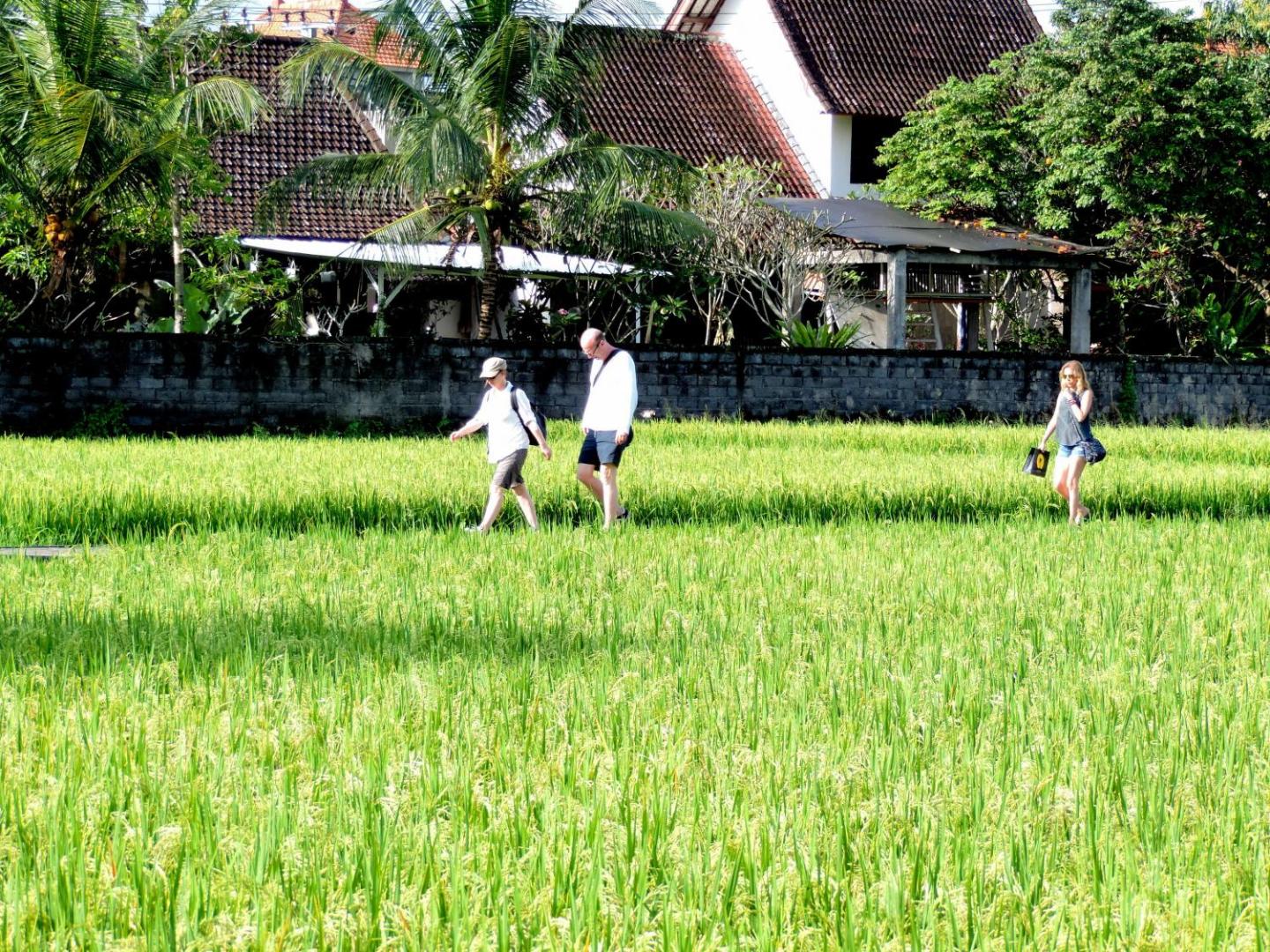 Adi Bisma Inn