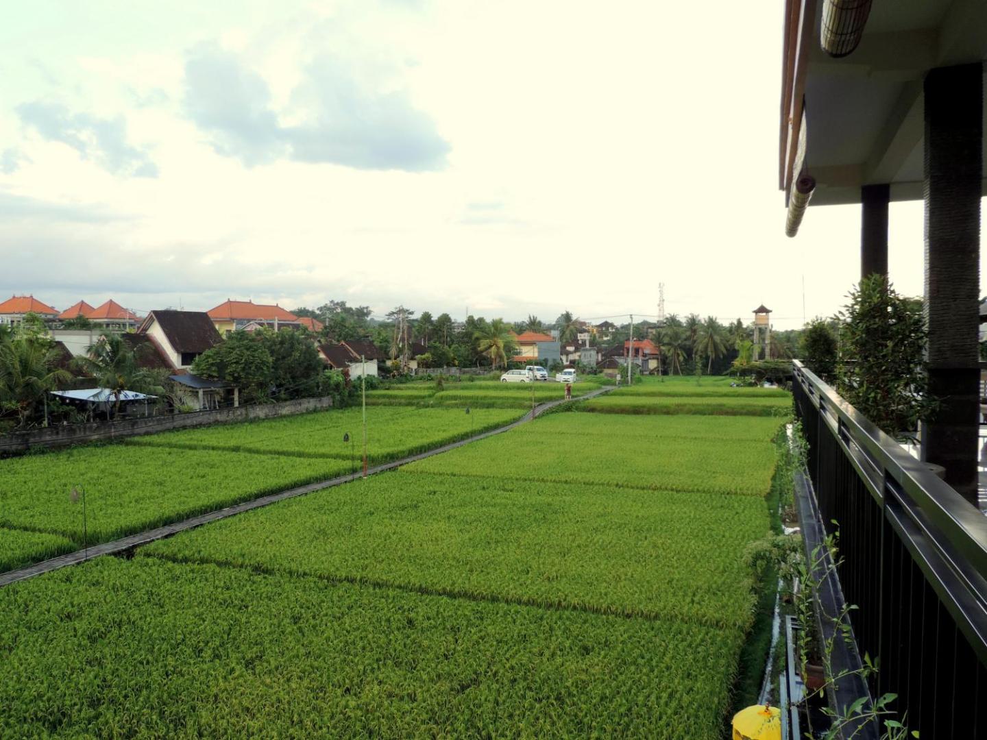 Adi Bisma Inn