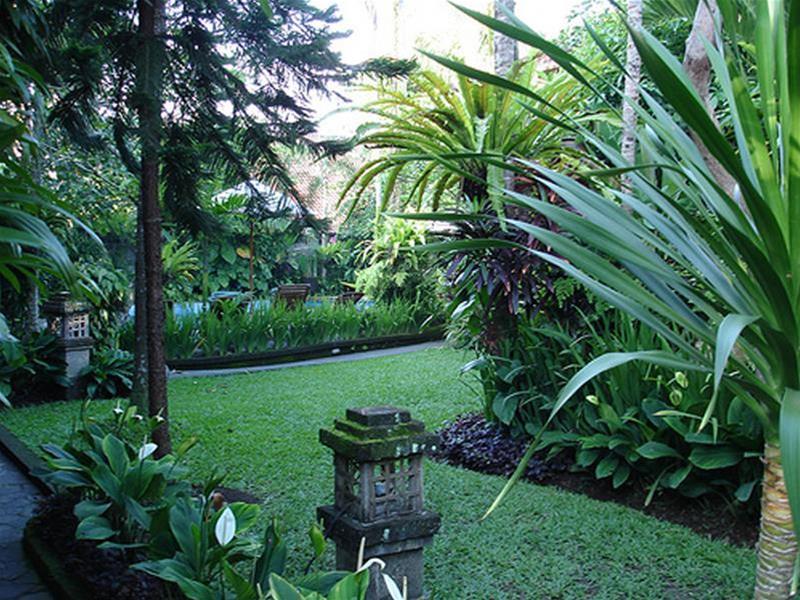 Adi Jaya Cottages Jungle Suites