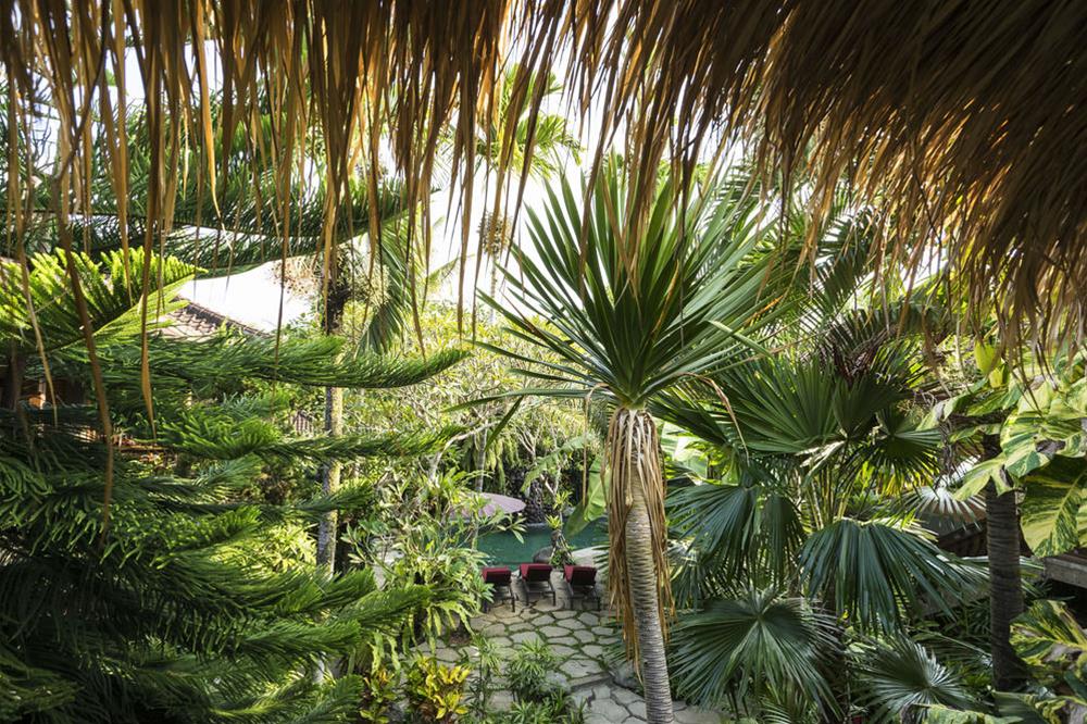 Adi Jaya Cottages Jungle Suites