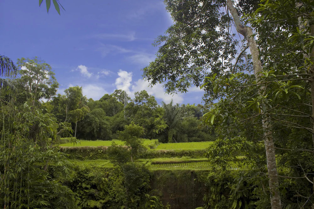 Alam Dania Cottage