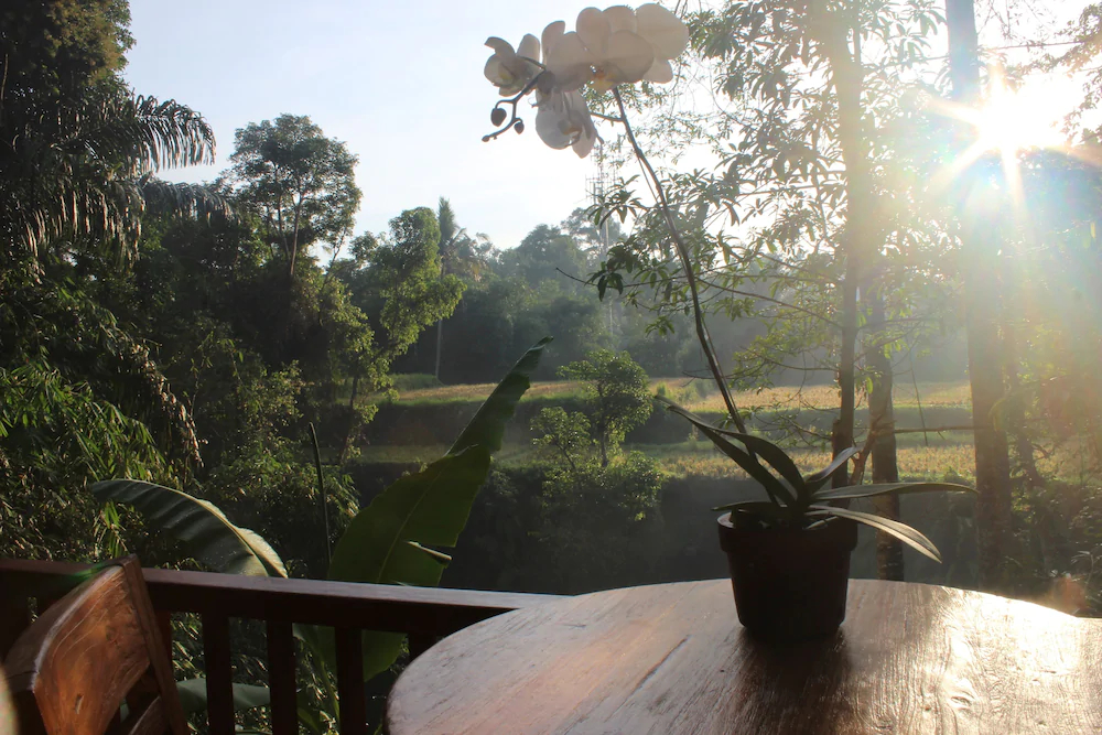 Alam Dania Cottage