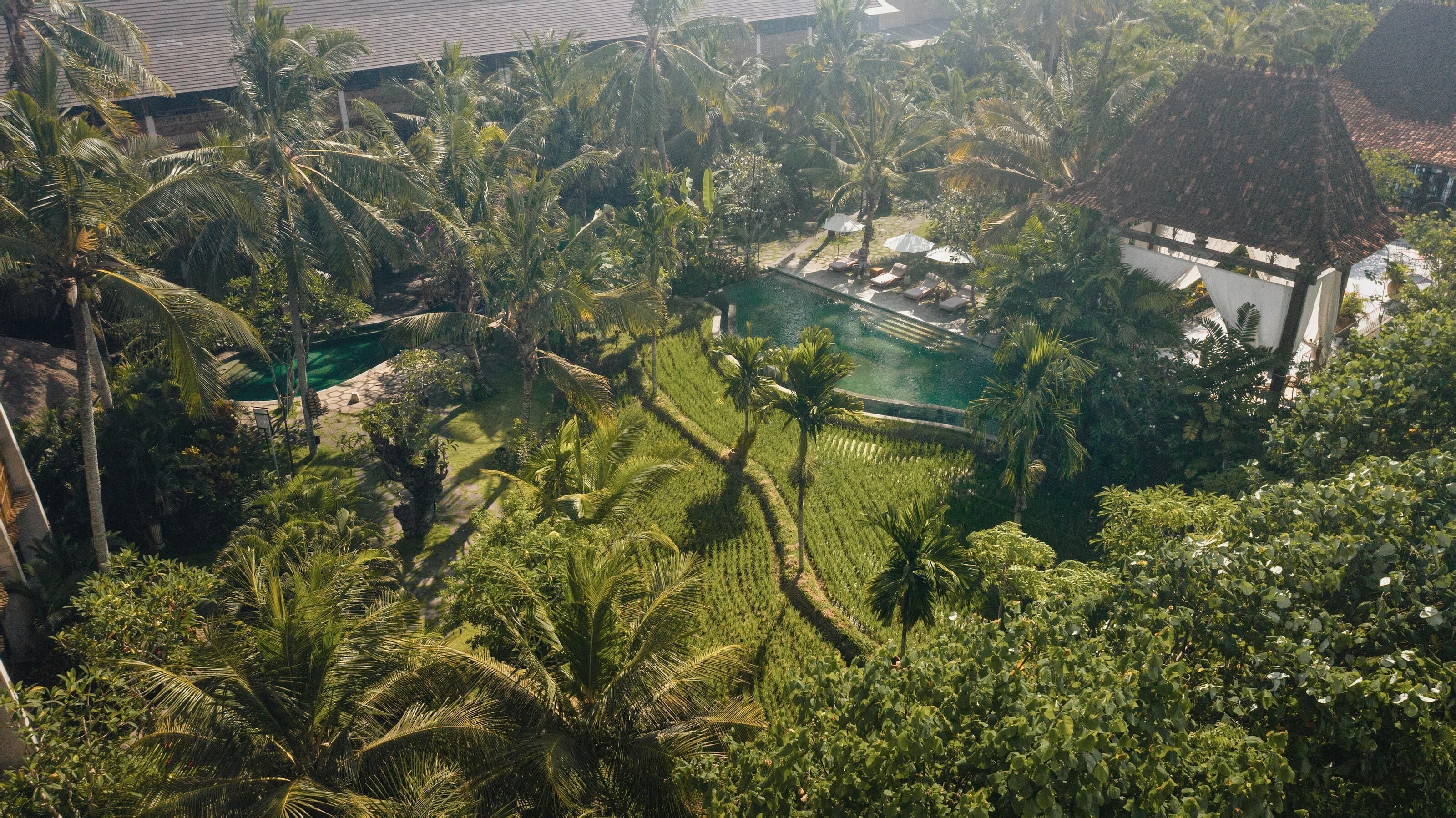 Alaya Resort Ubud