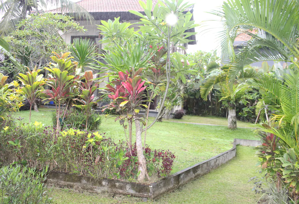 Alit Bungalow