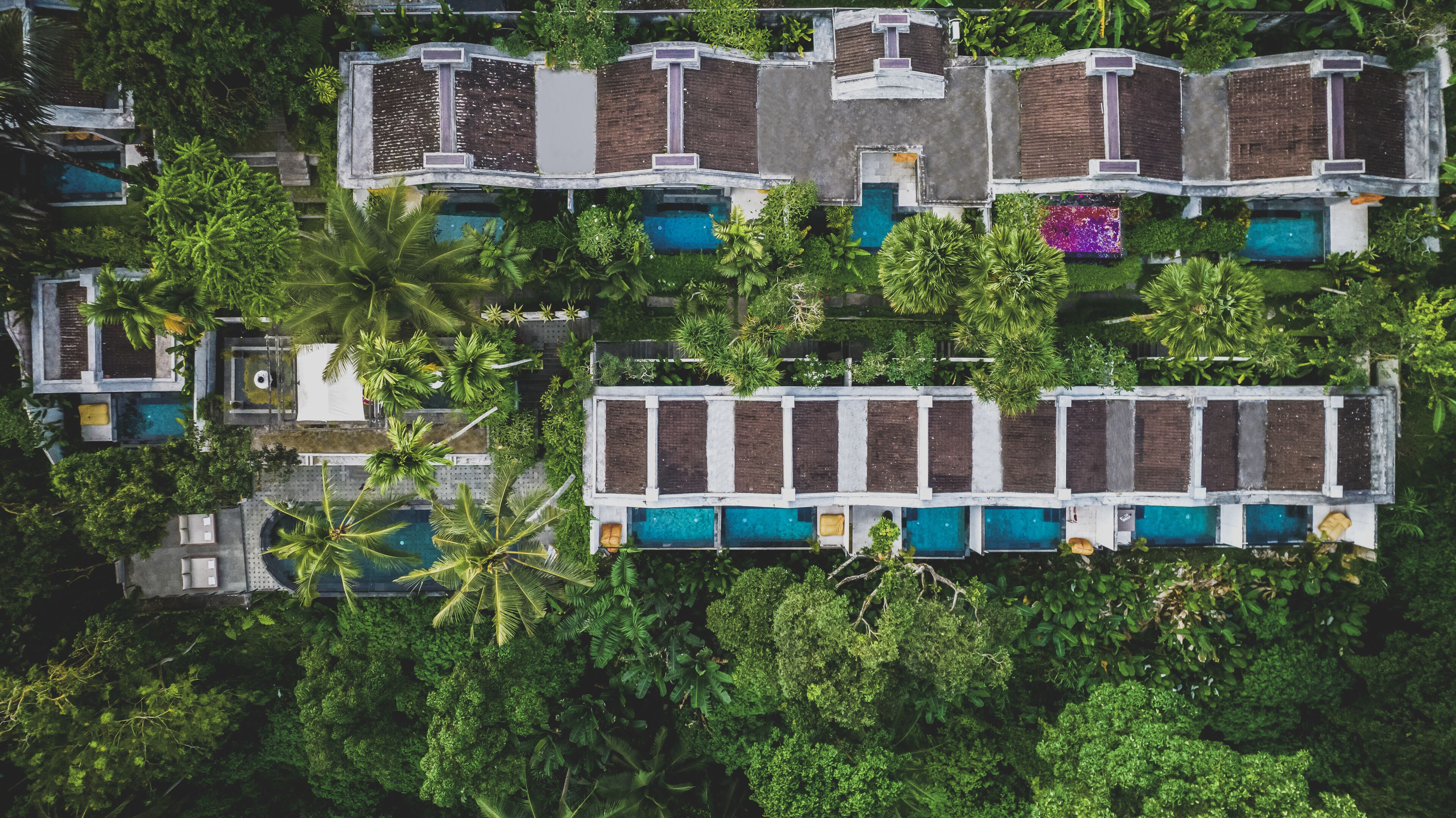 Amora Ubud Villas