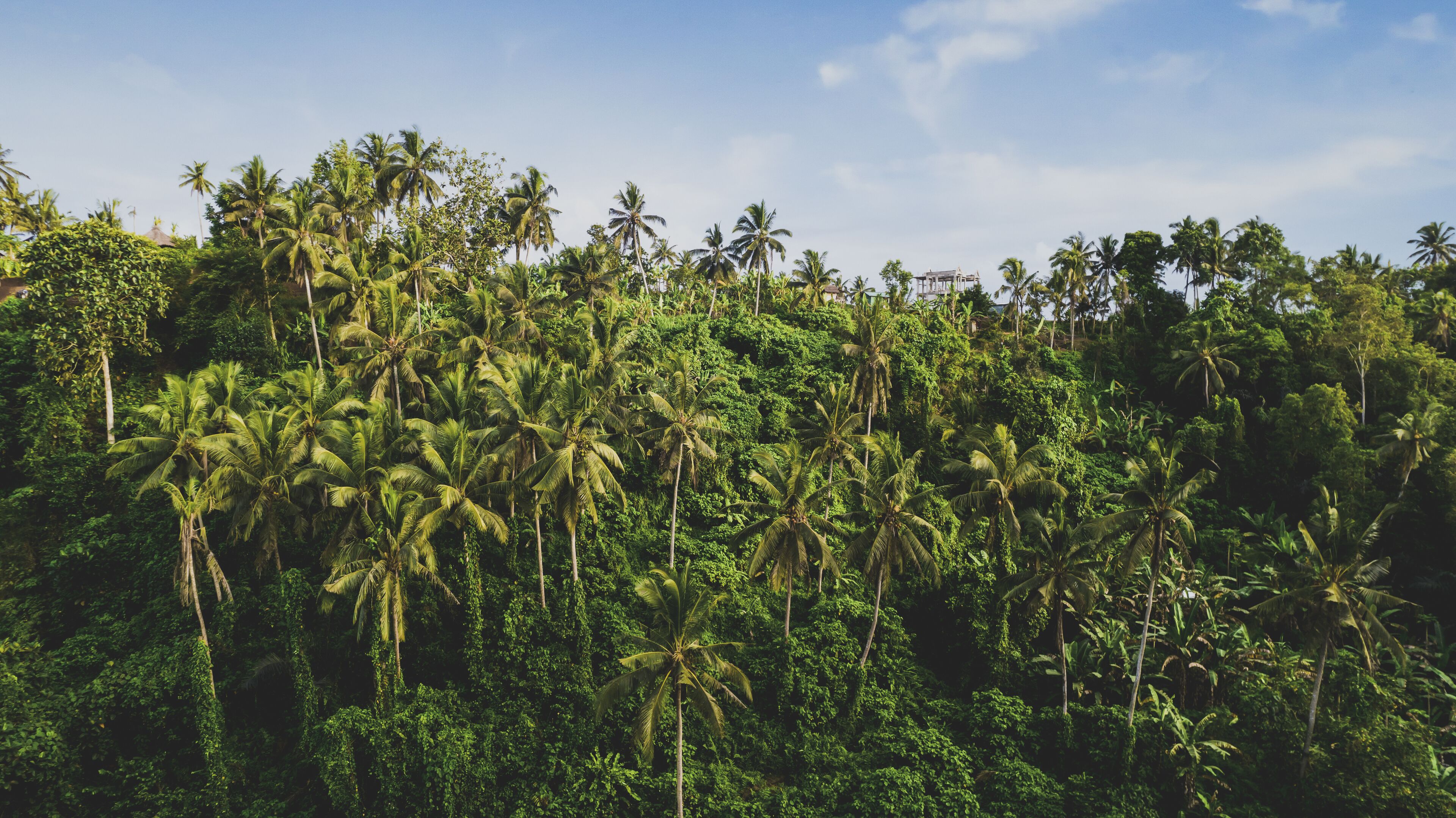 Amora Ubud Villas