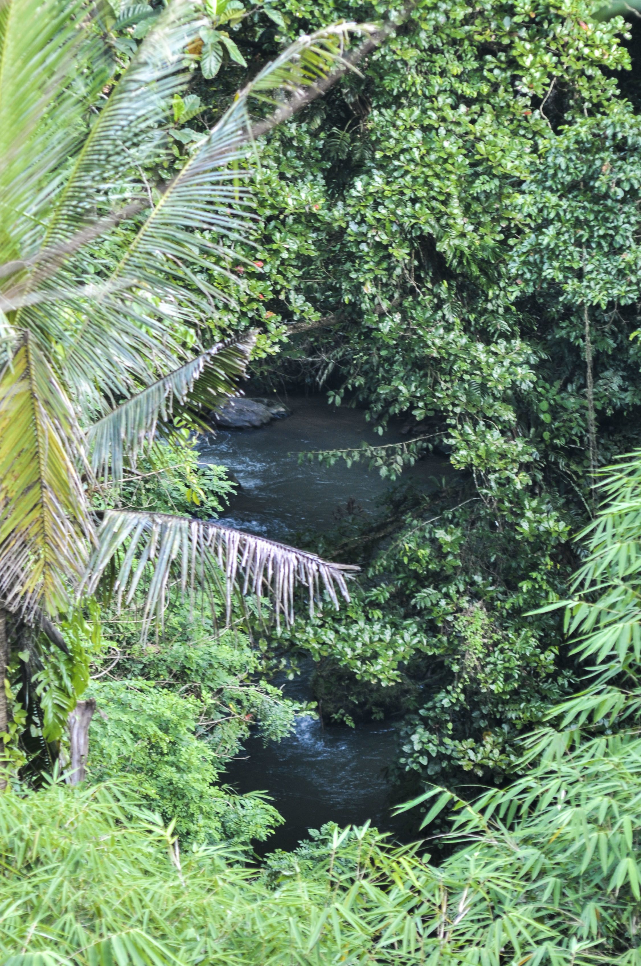 Amora Ubud Villas
