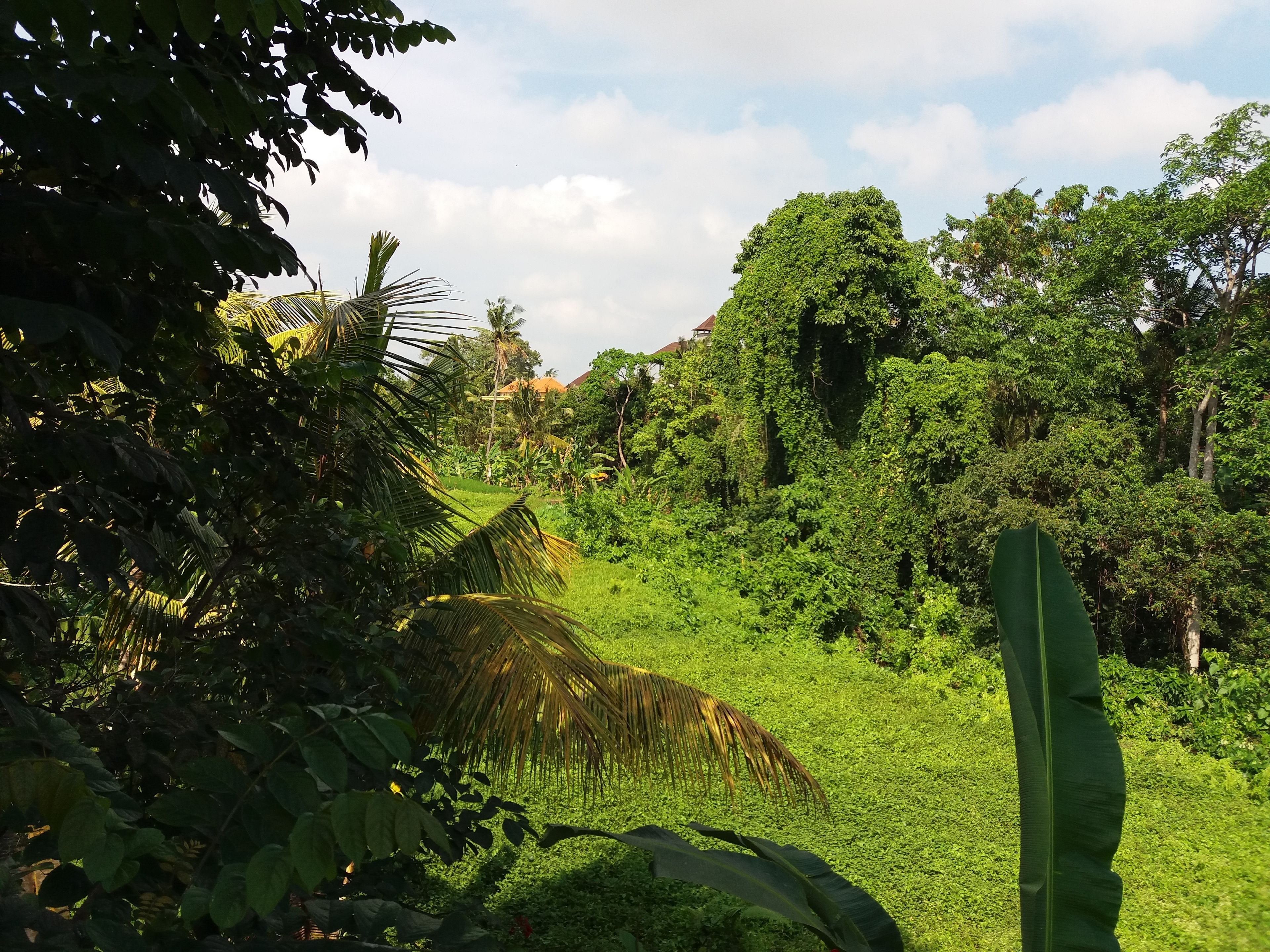 Amoya Inn