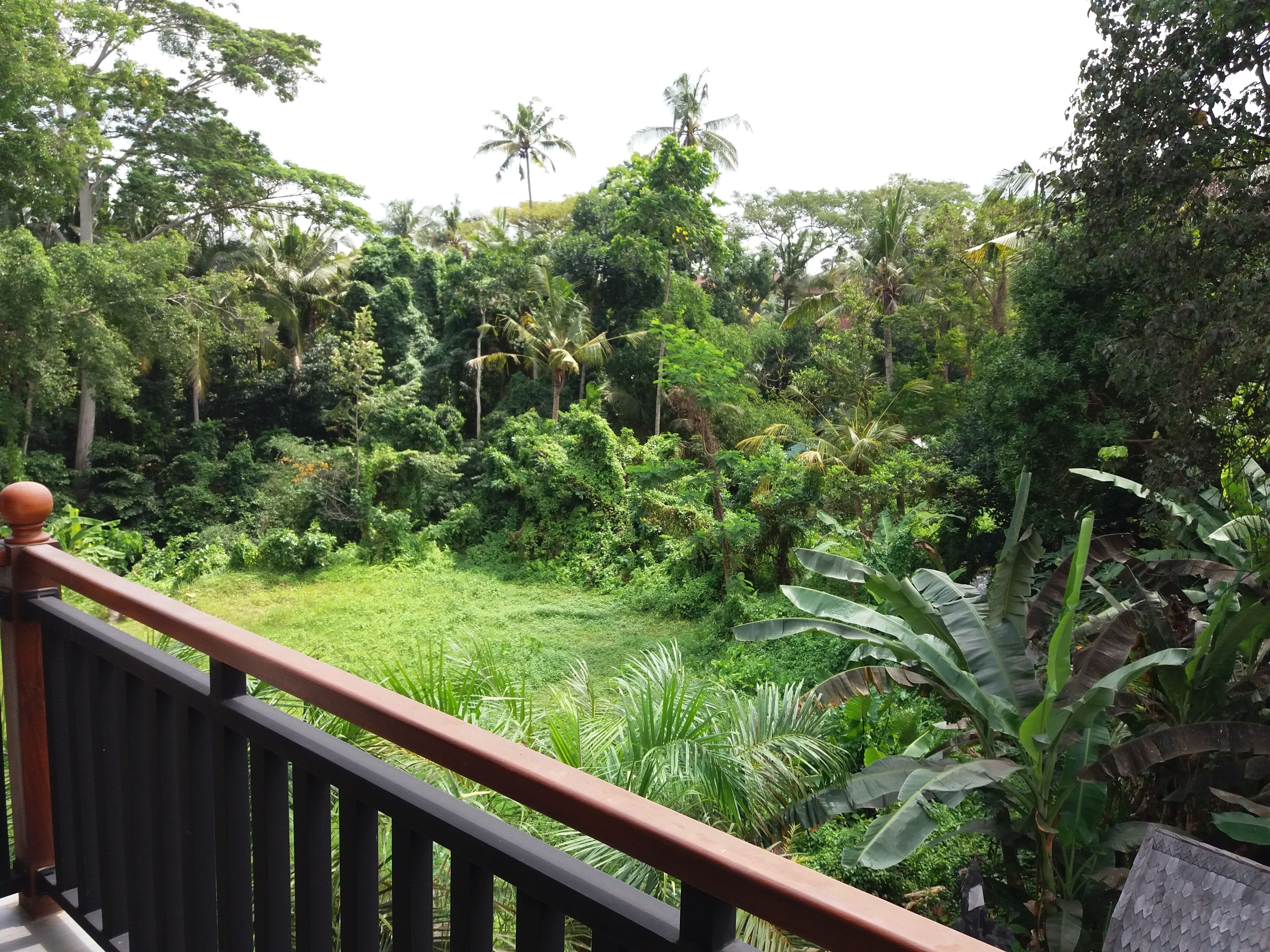 Amoya Inn