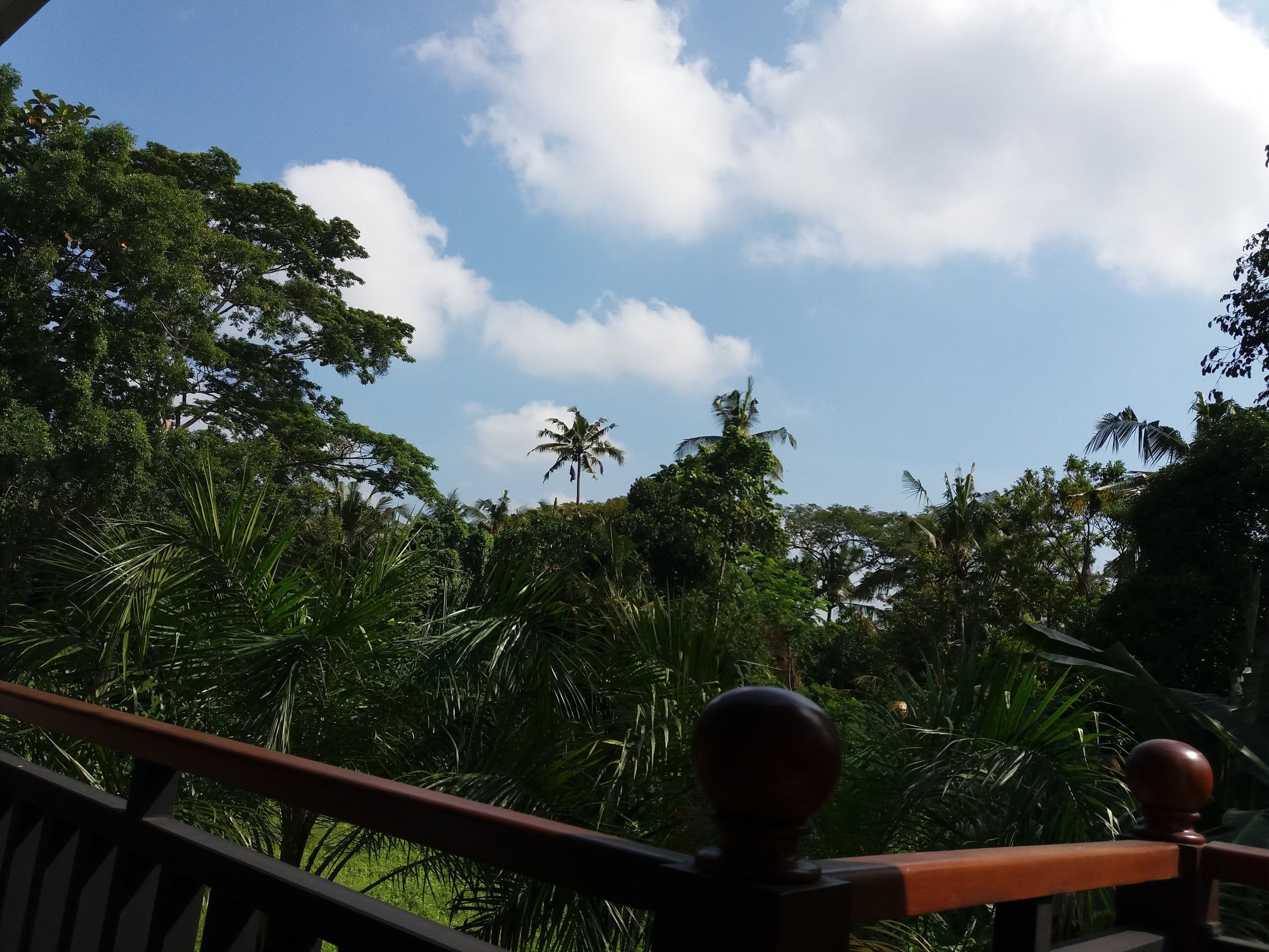 Amoya Inn