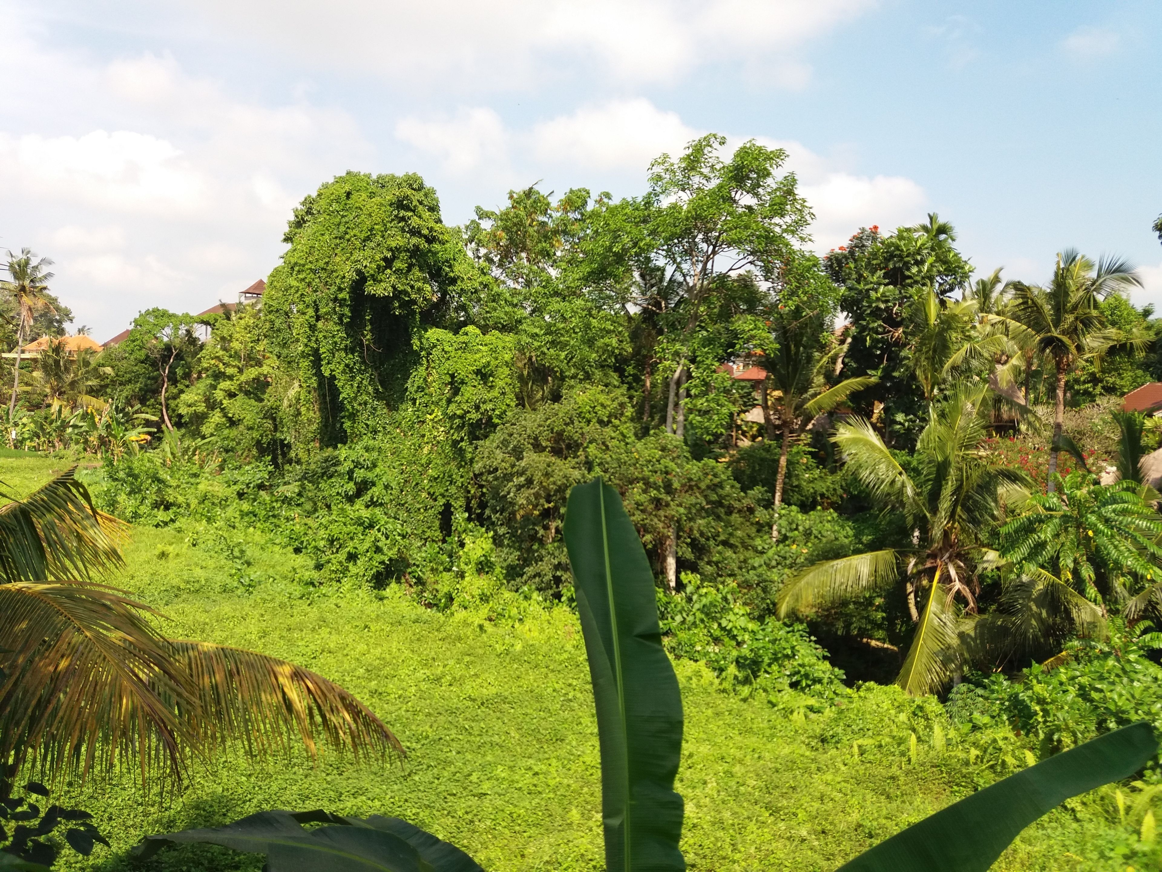 Amoya Inn