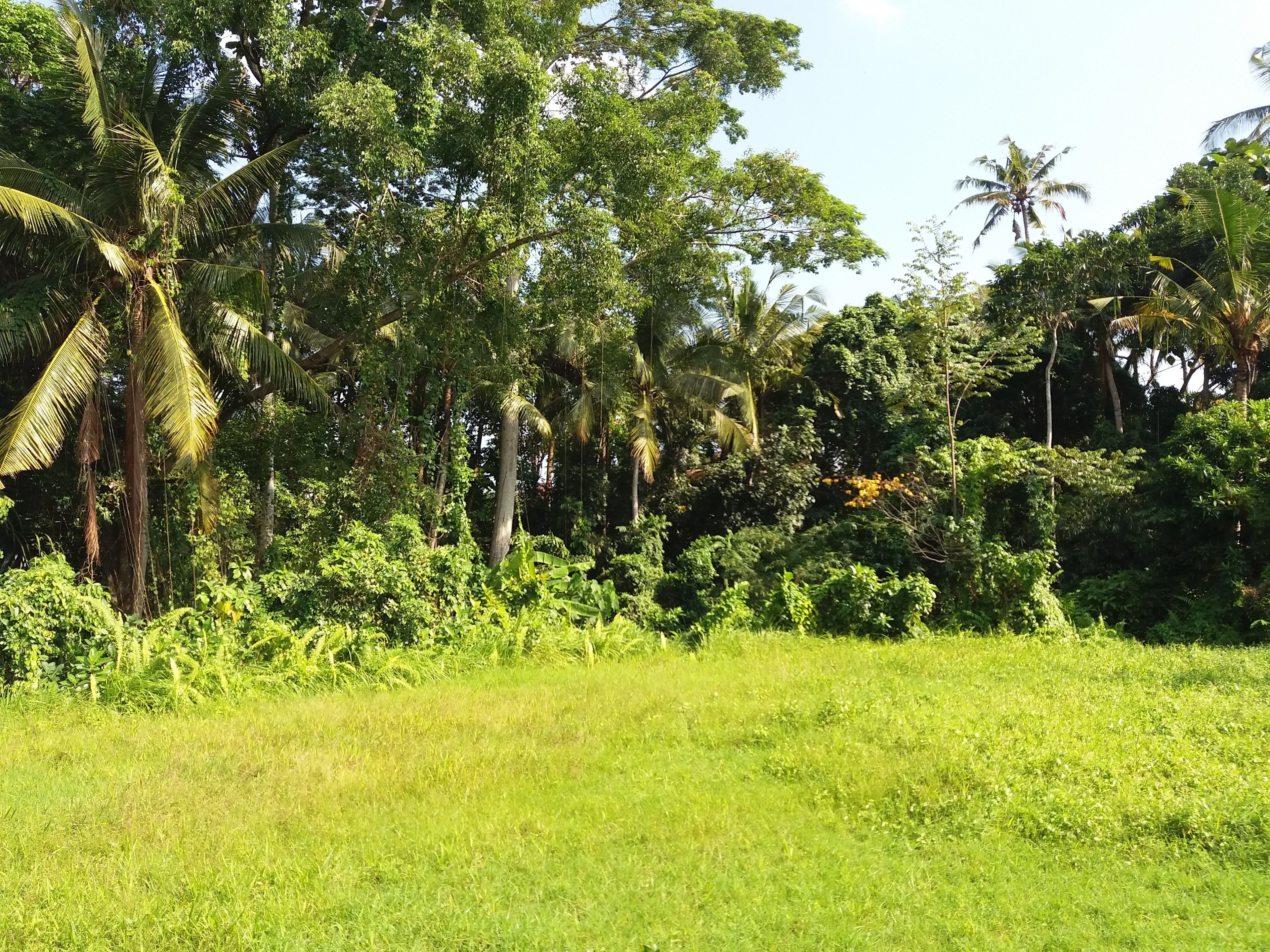 Amoya Inn