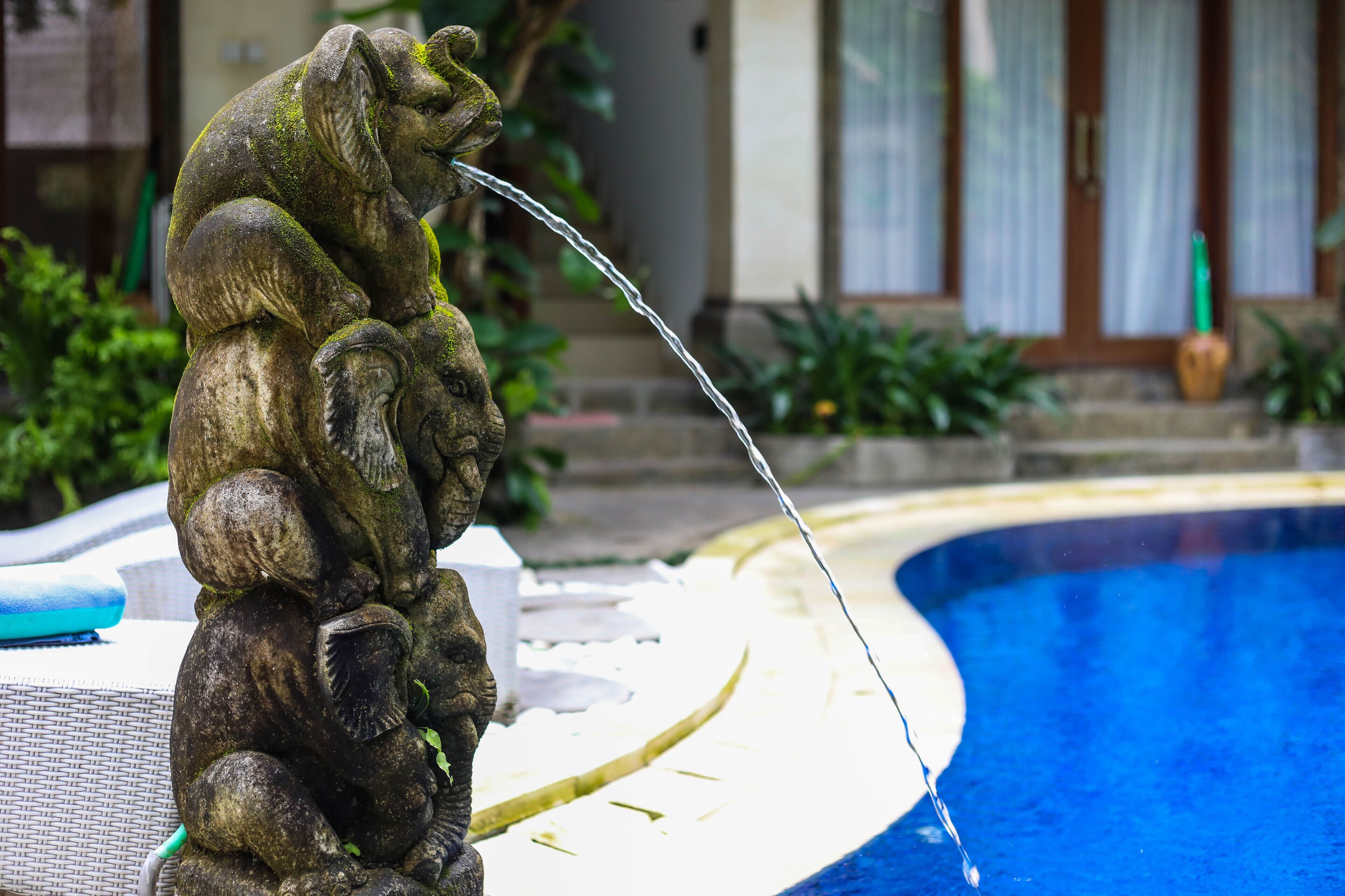 Amoya Inn