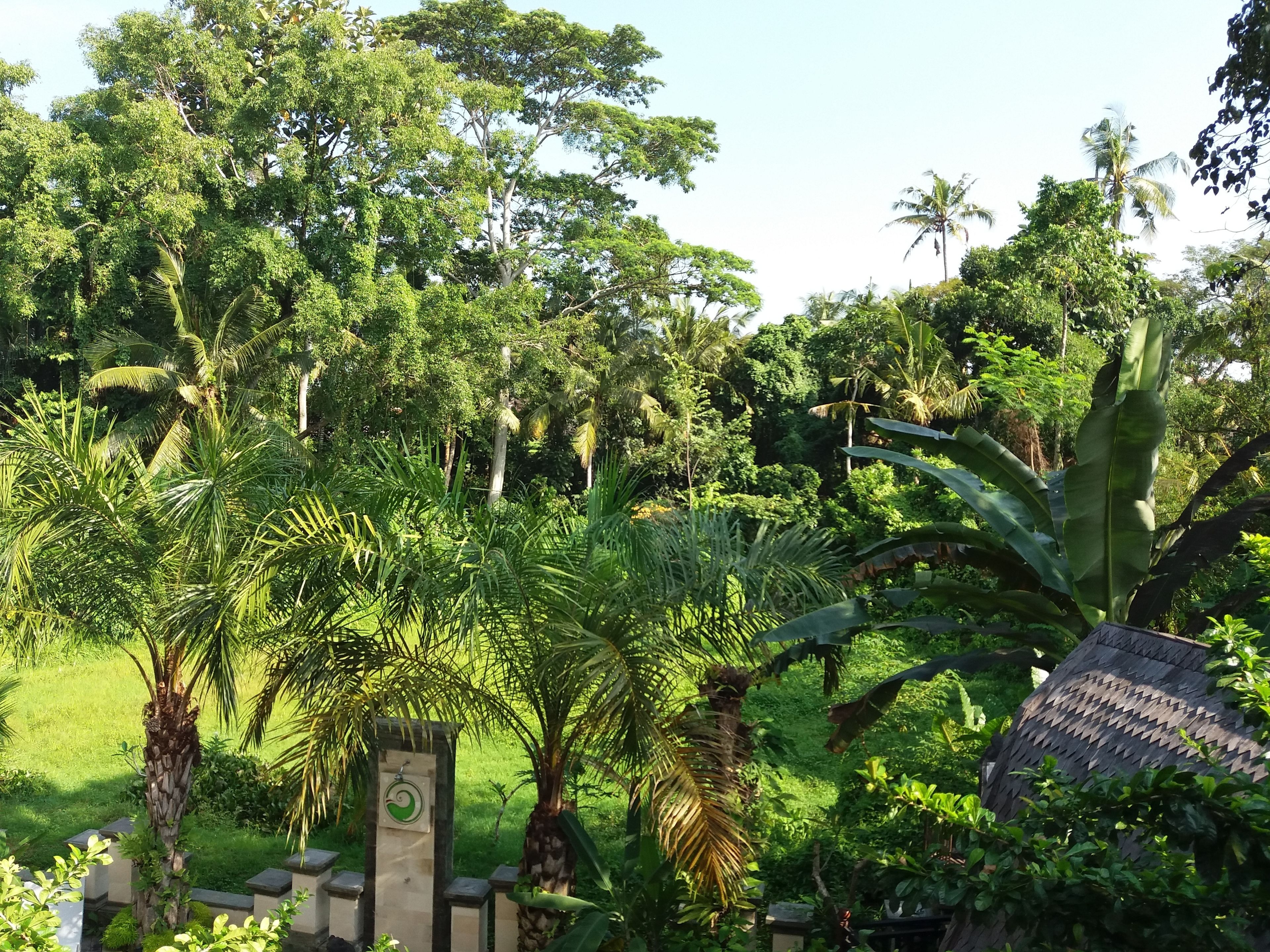 Amoya Inn