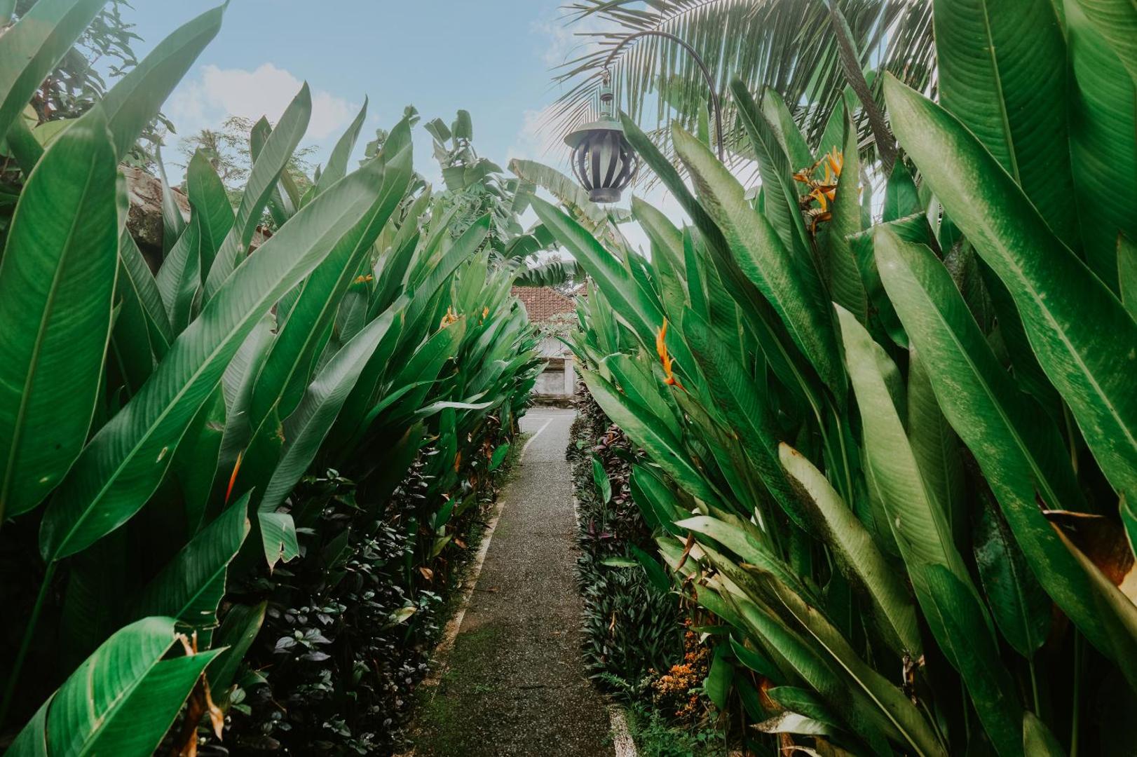 Anggira Villa Ubud