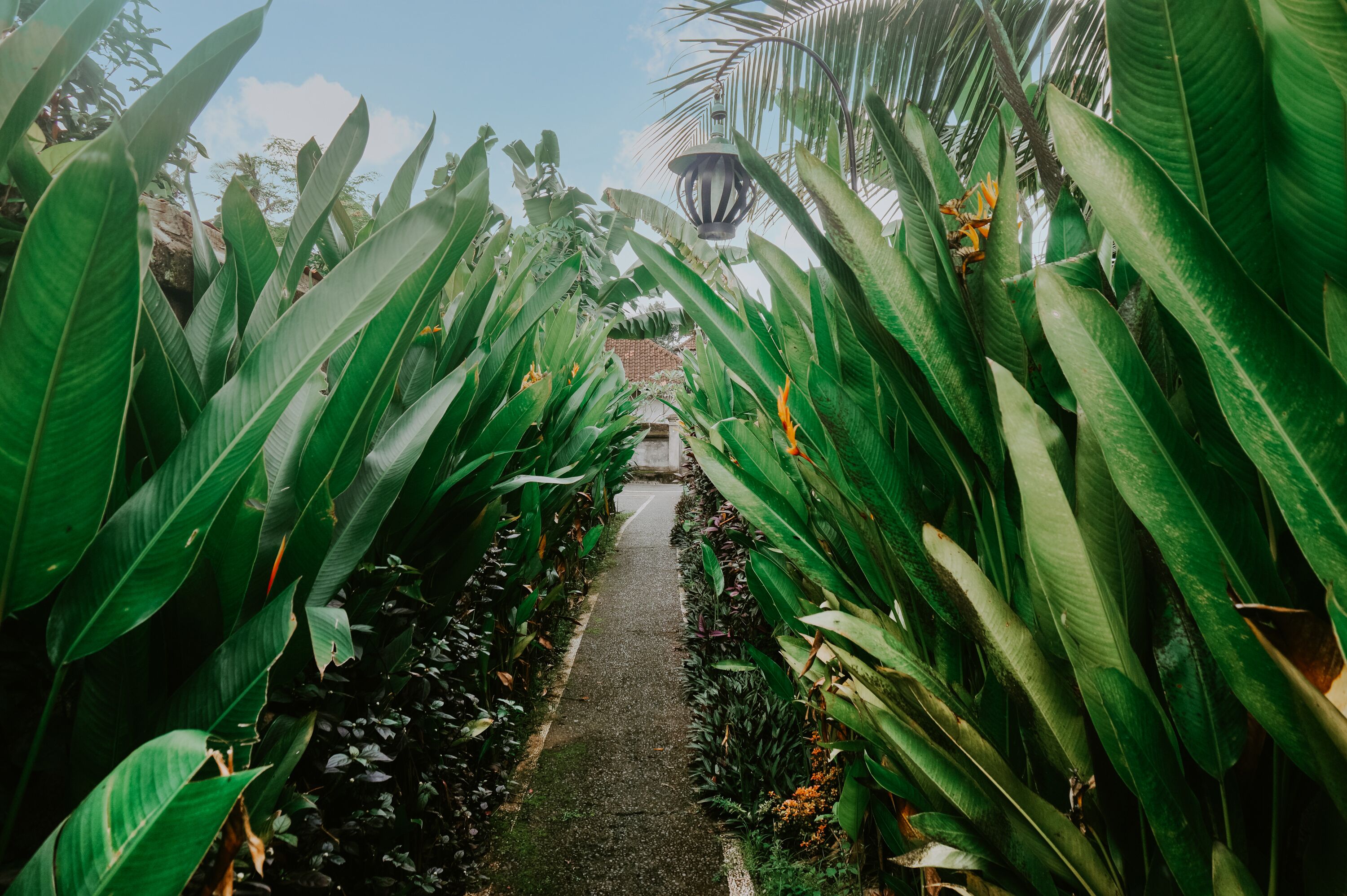 Anggira Villa Ubud