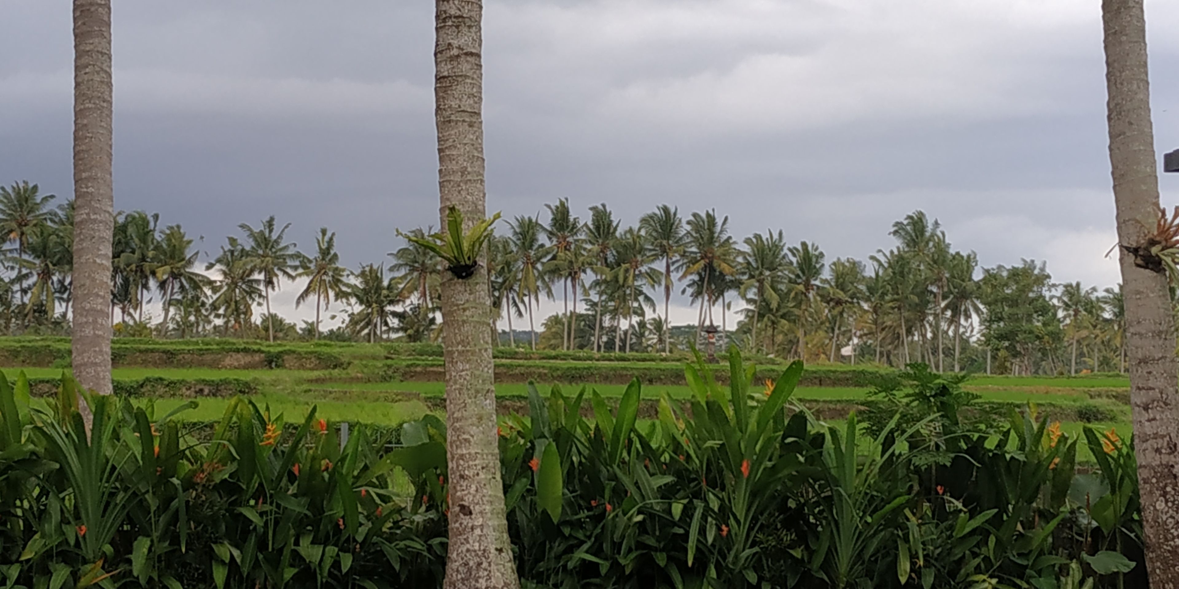 Anggira Villa Ubud