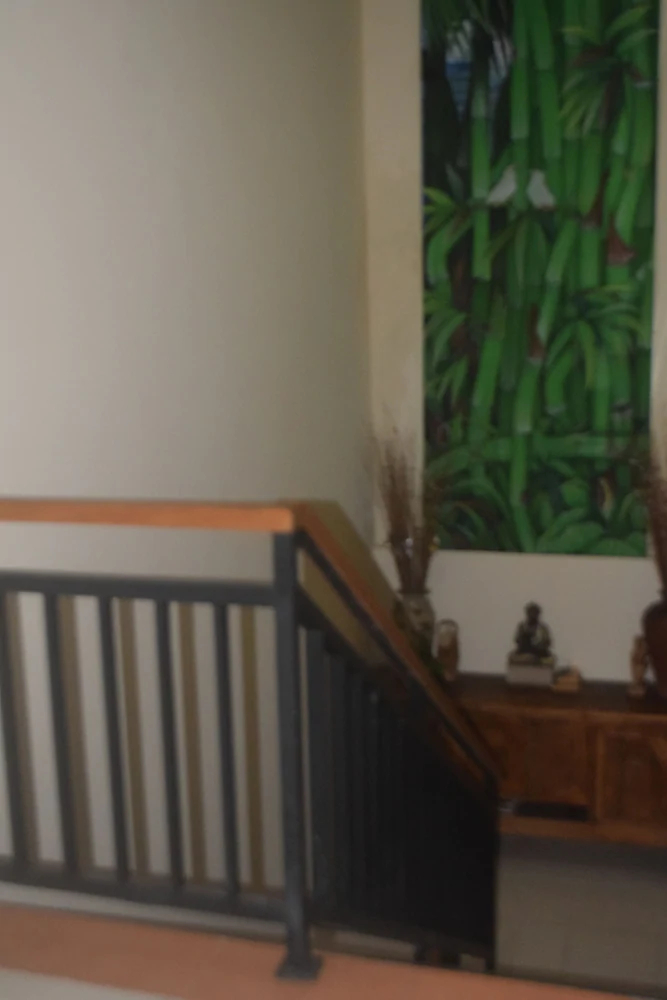 Anila Shanti Guest House