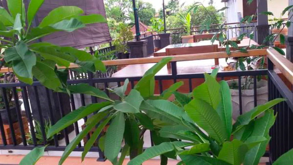 Anila Shanti Guest House