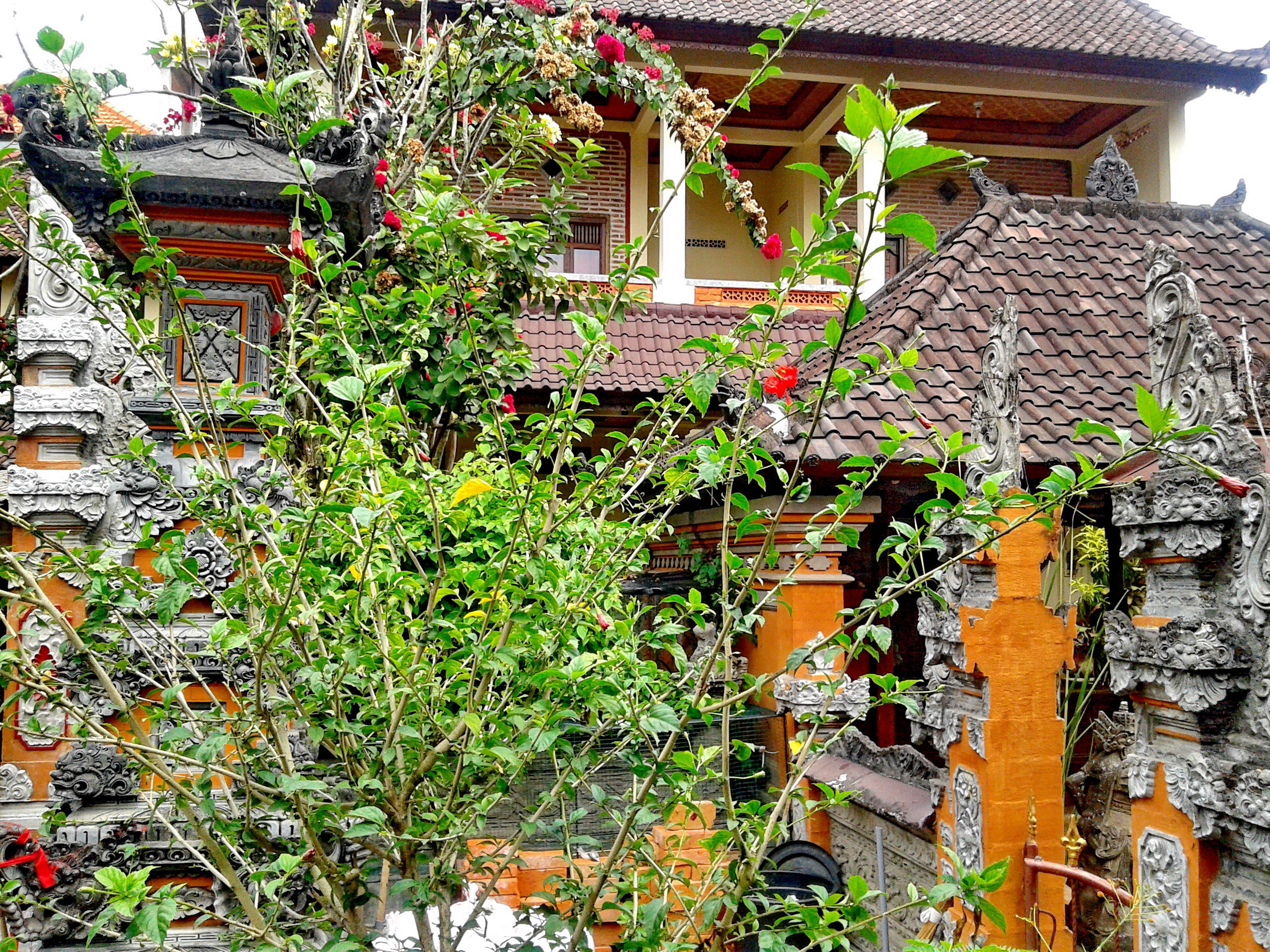 Arjuna Homestay Ubud