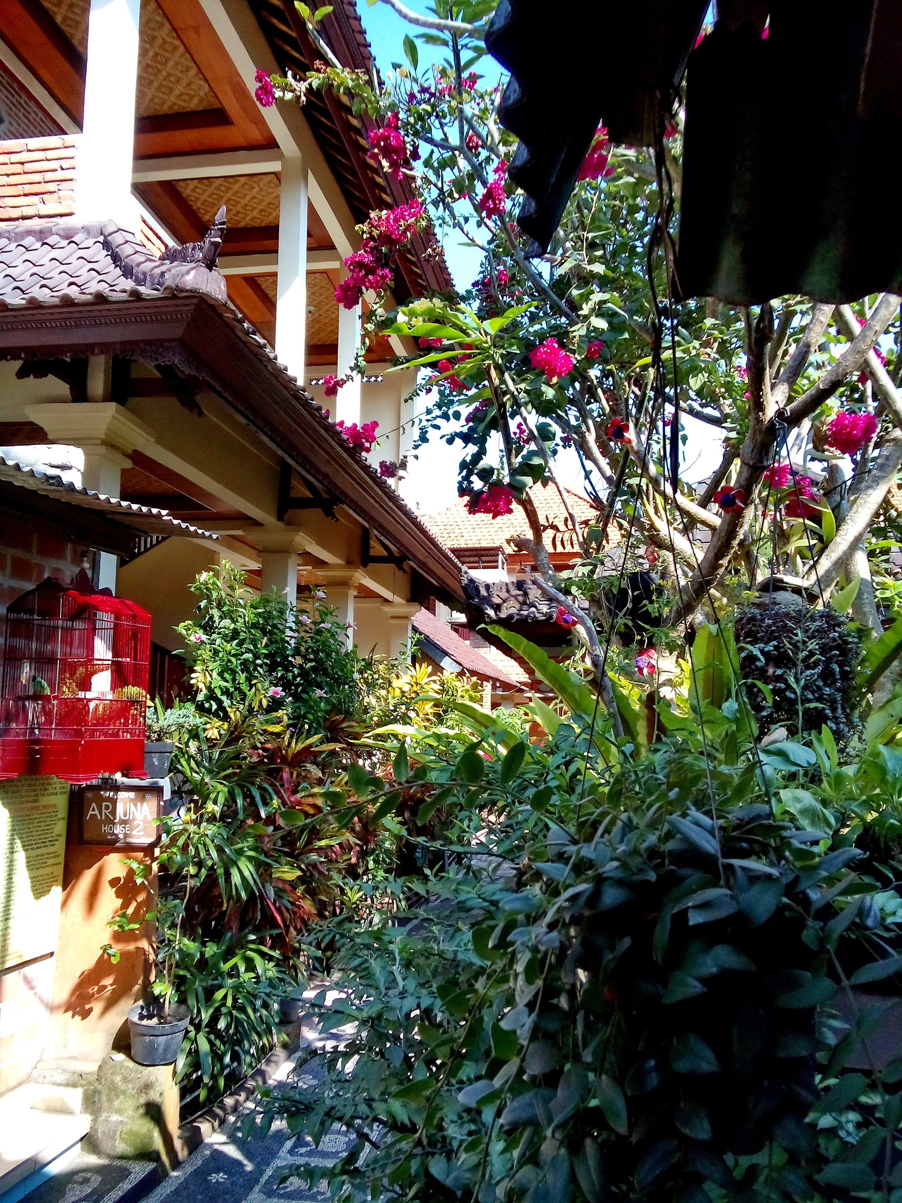 Arjuna Homestay Ubud