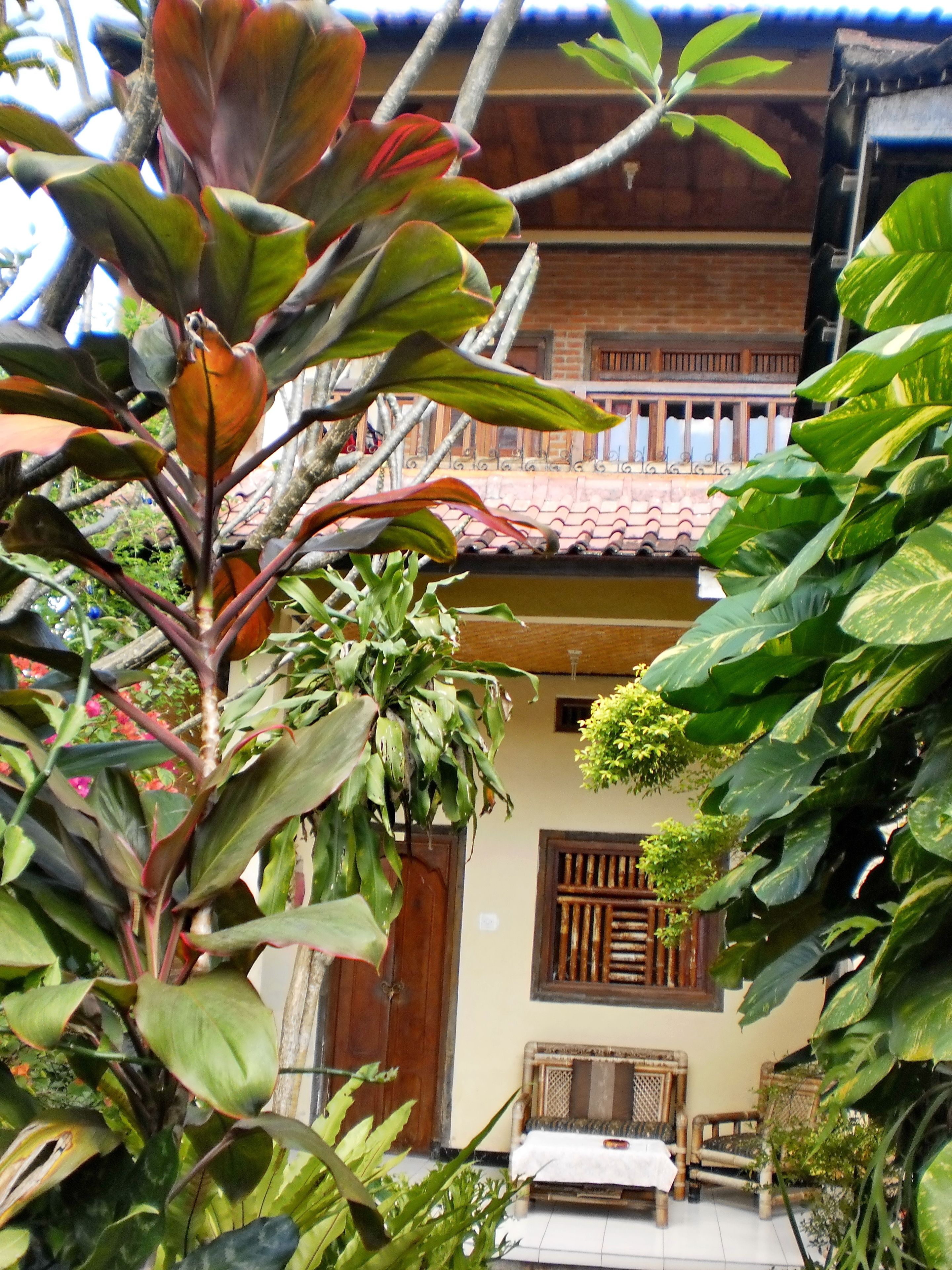 Arjuna Homestay Ubud
