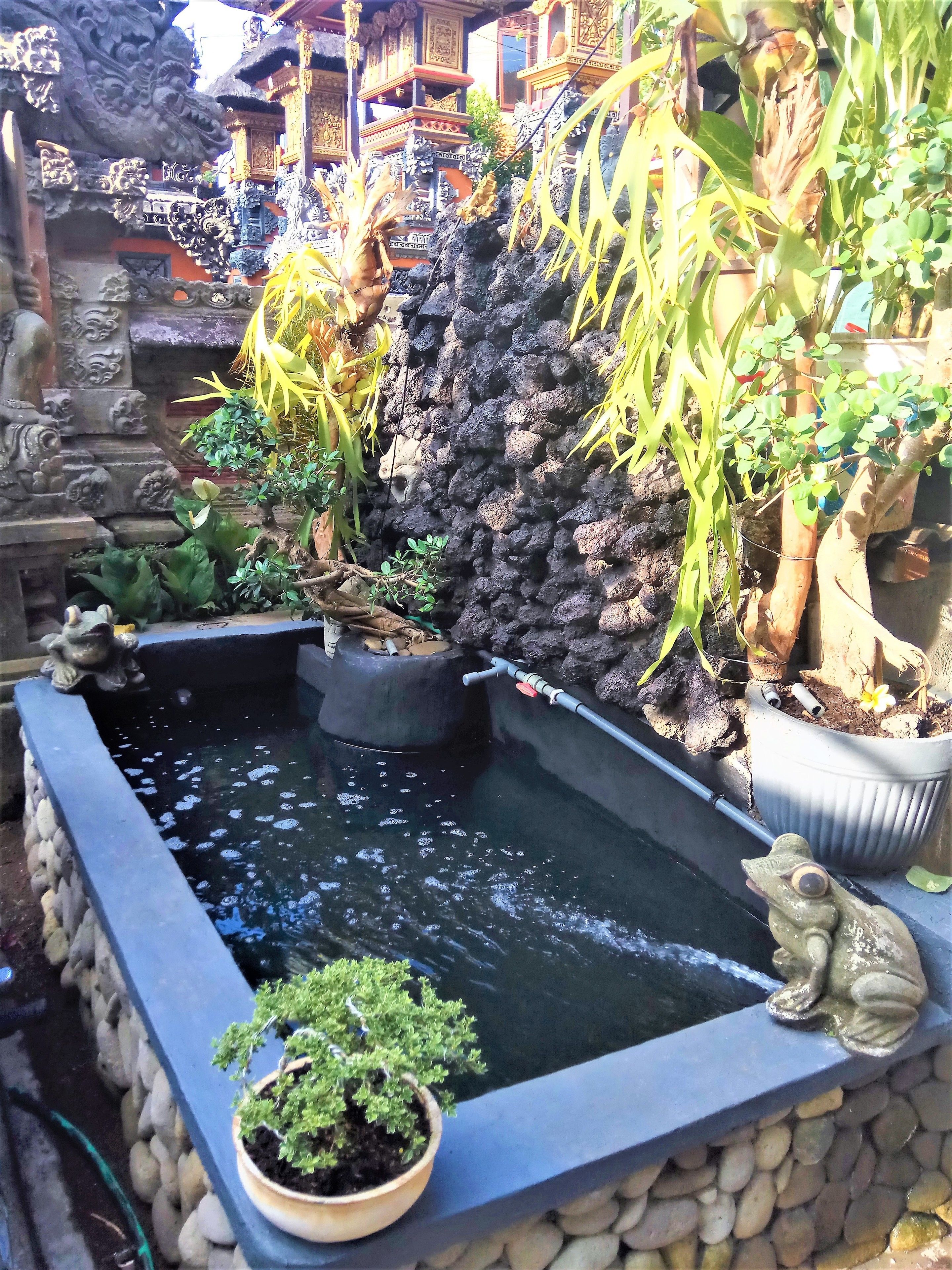 Arjuna Homestay Ubud