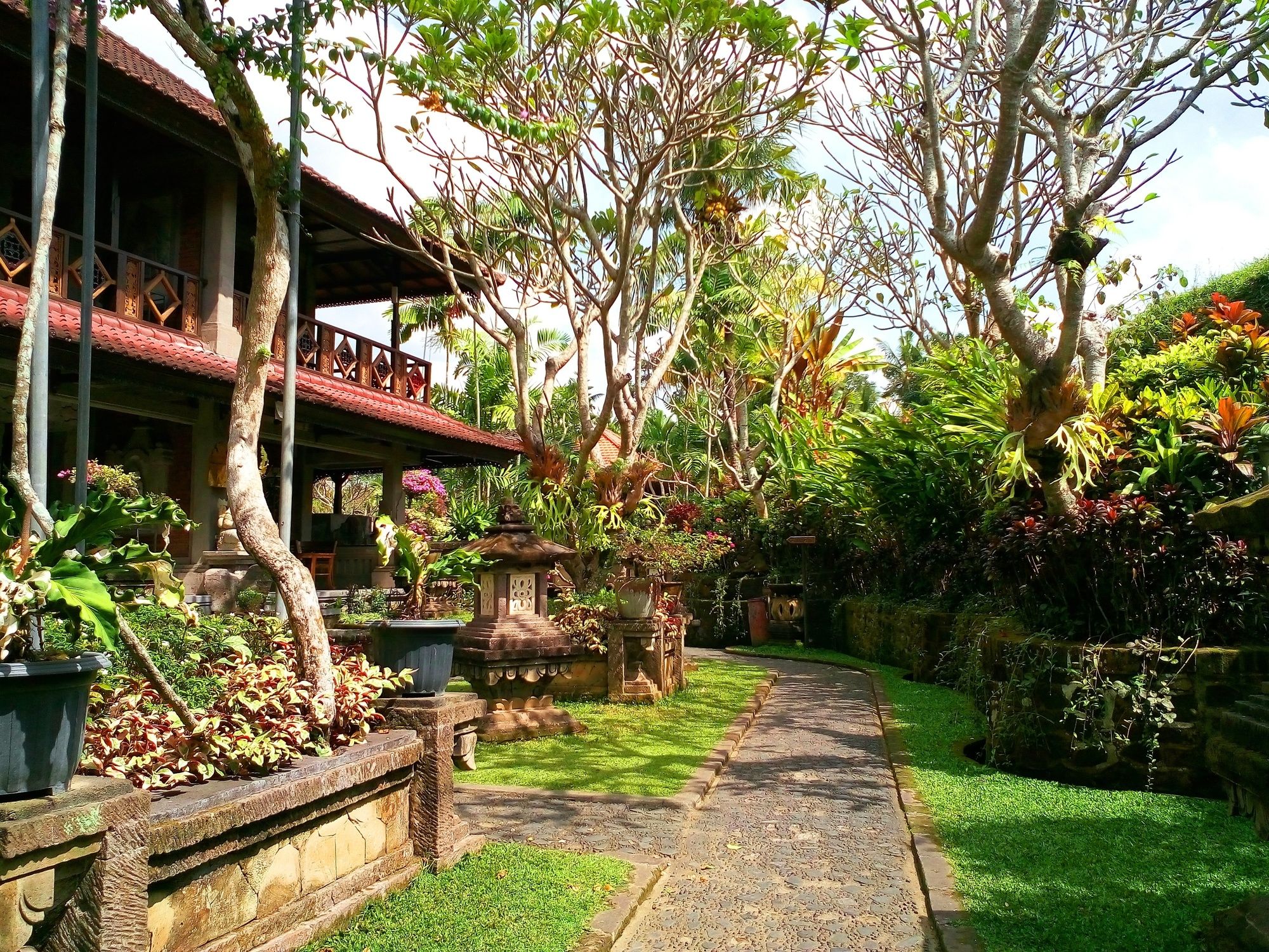 Artini Cottages 2