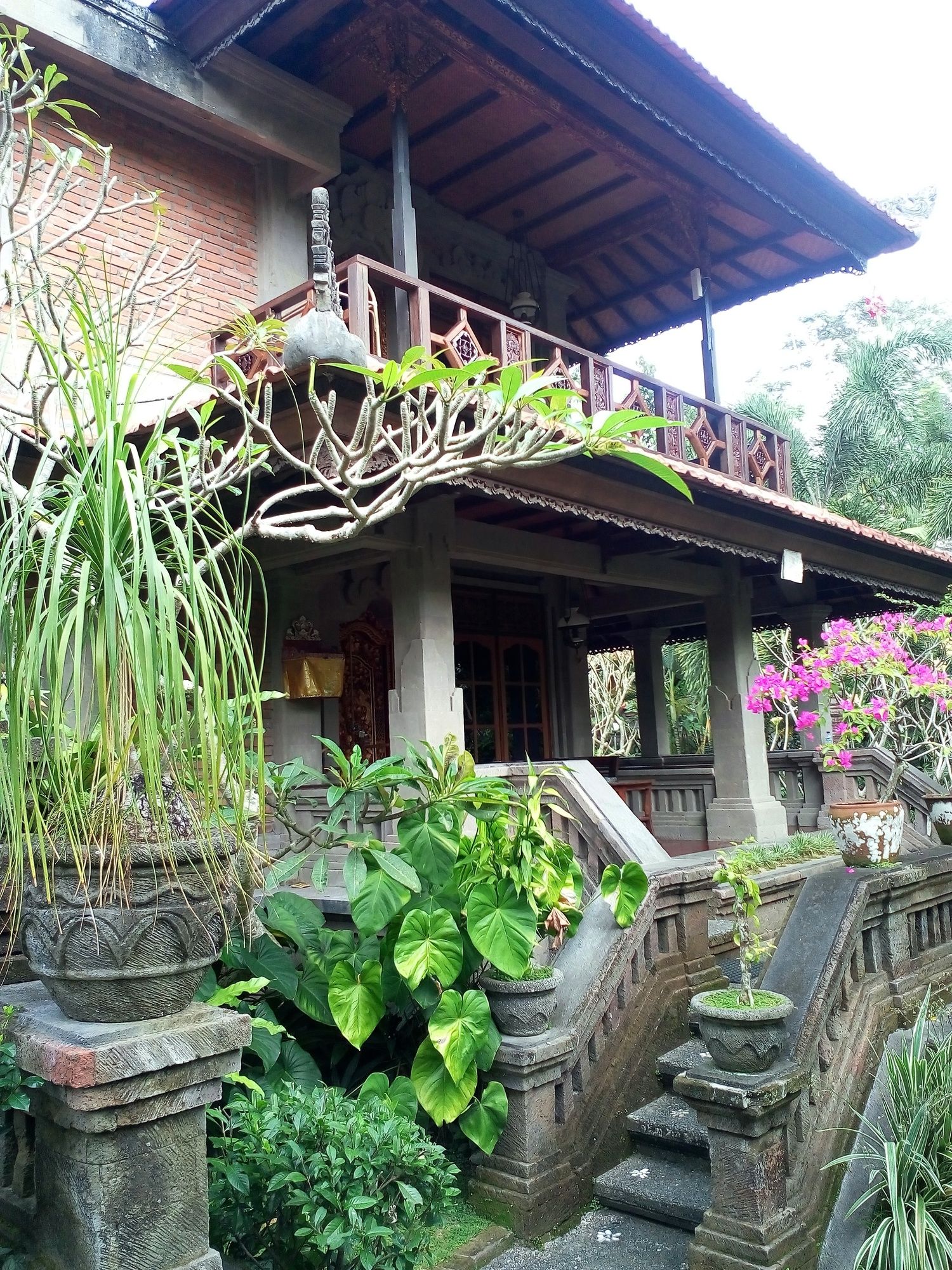 Artini Cottages 2