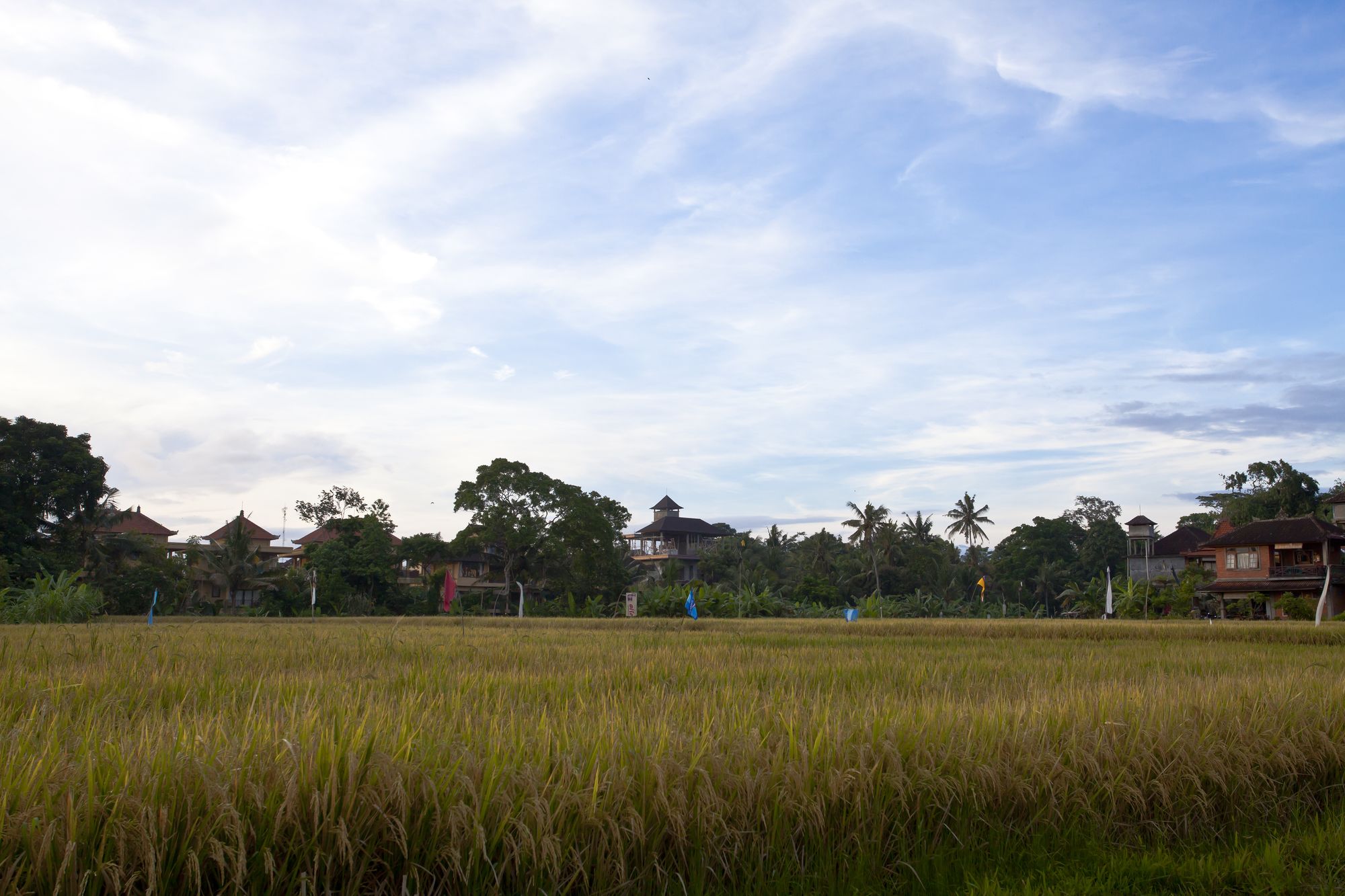 Artini Cottages 2