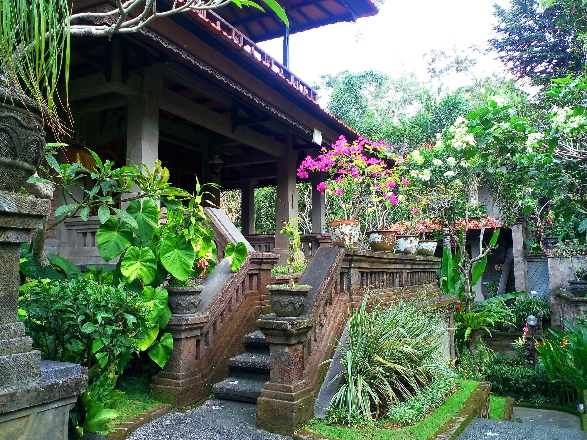 Artini Cottages 2