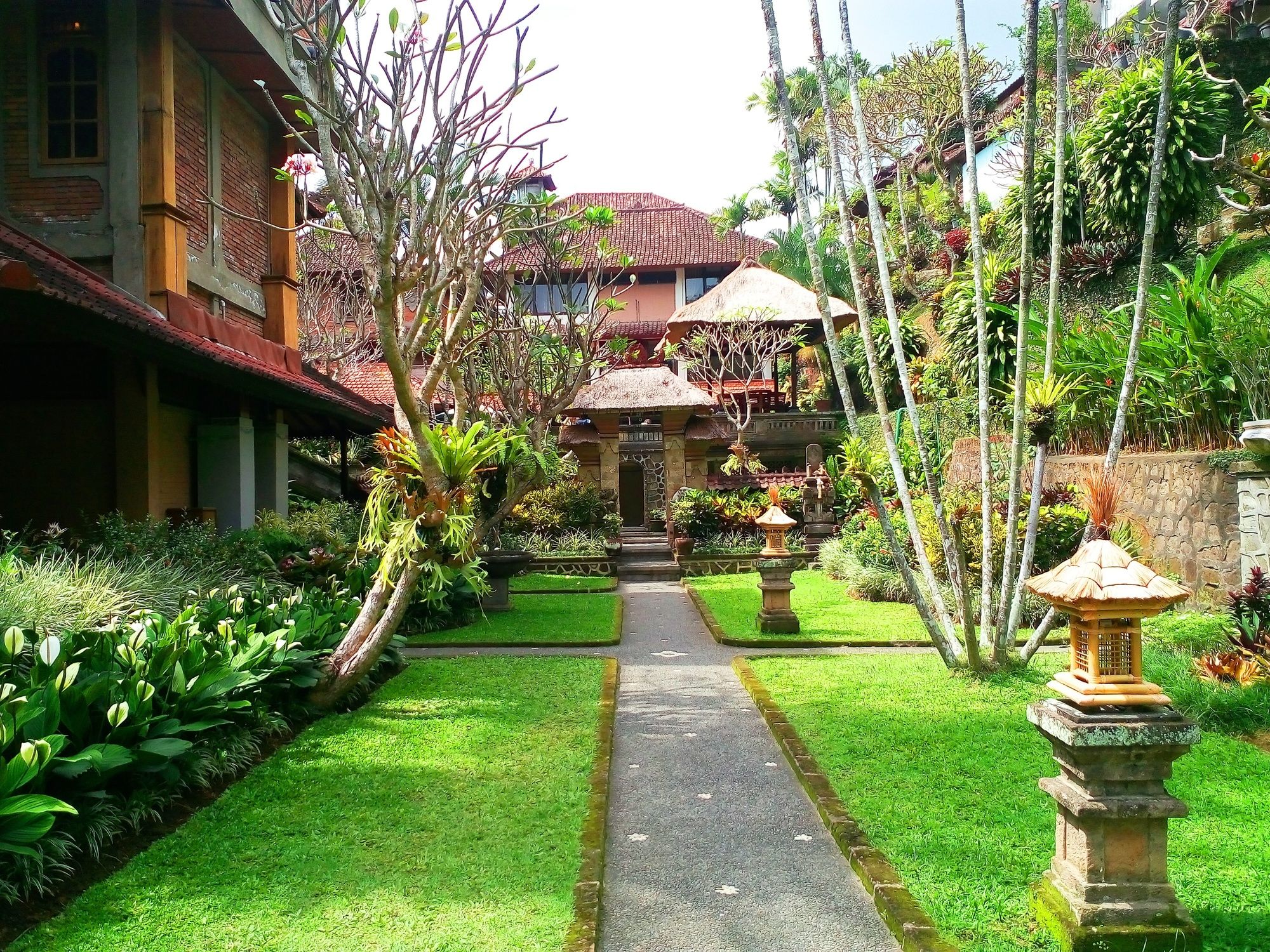 Artini Cottages 2