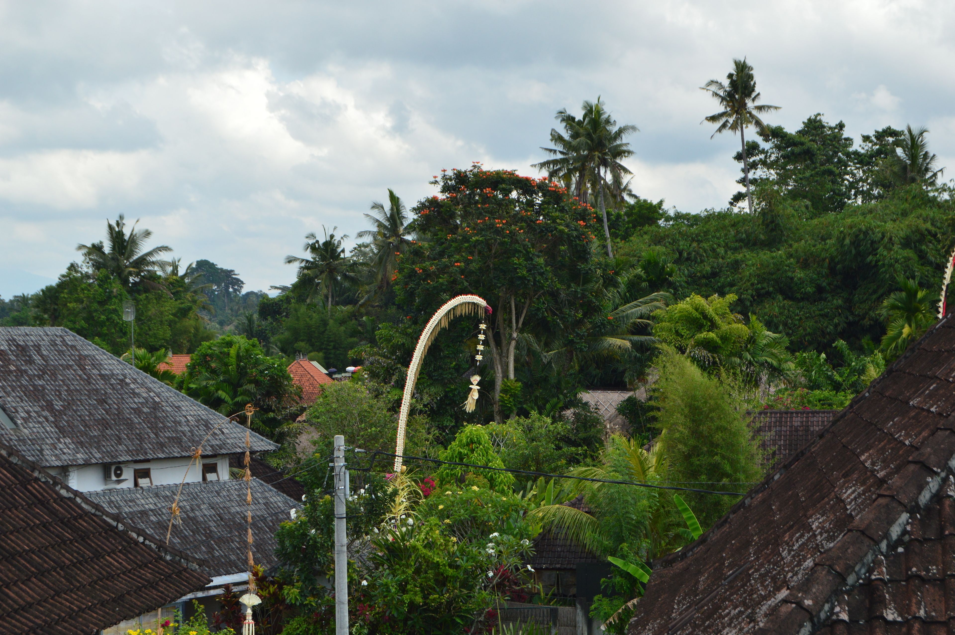 Askara Guest House & Hostel