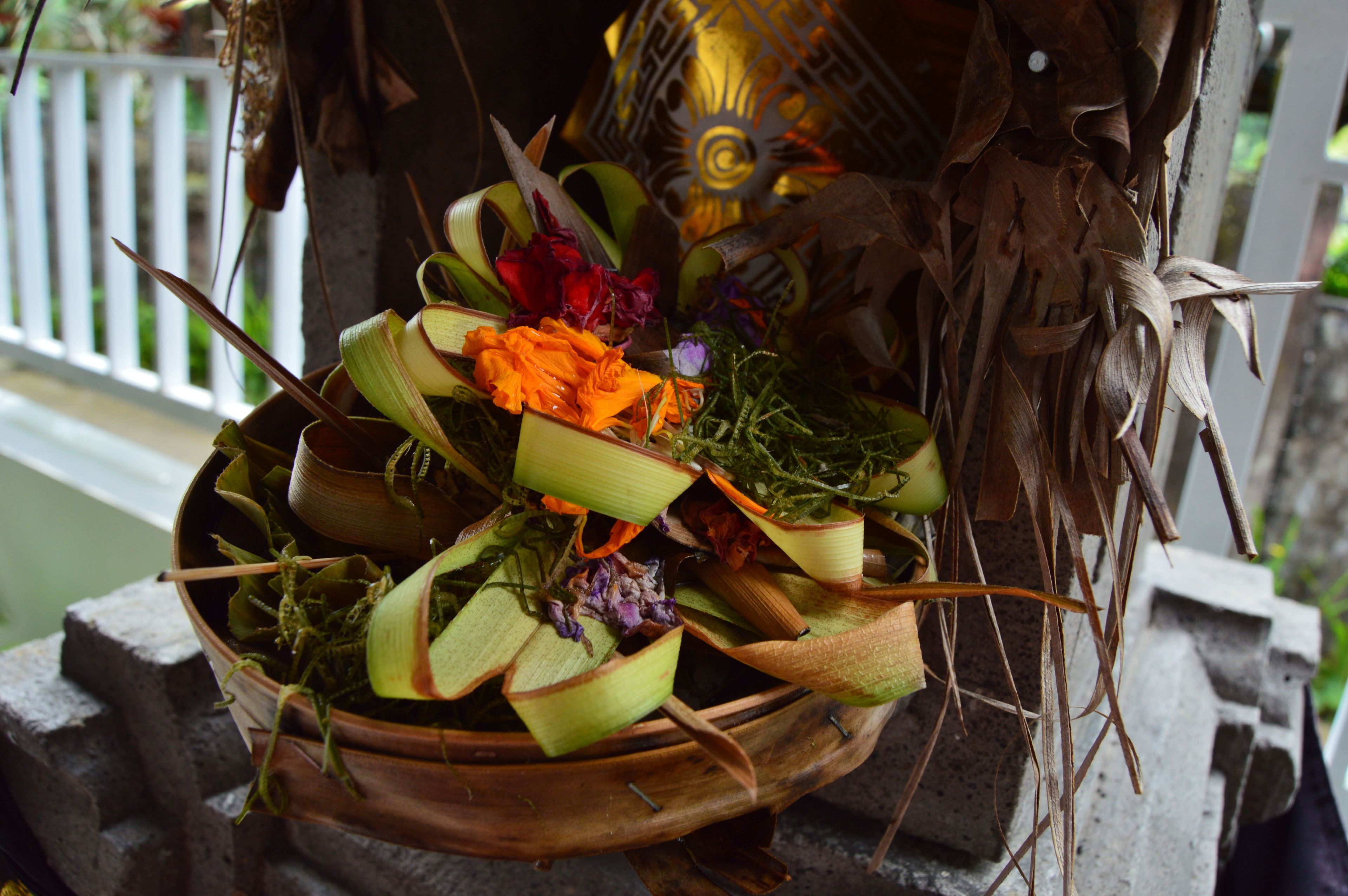 Askara Guest House & Hostel