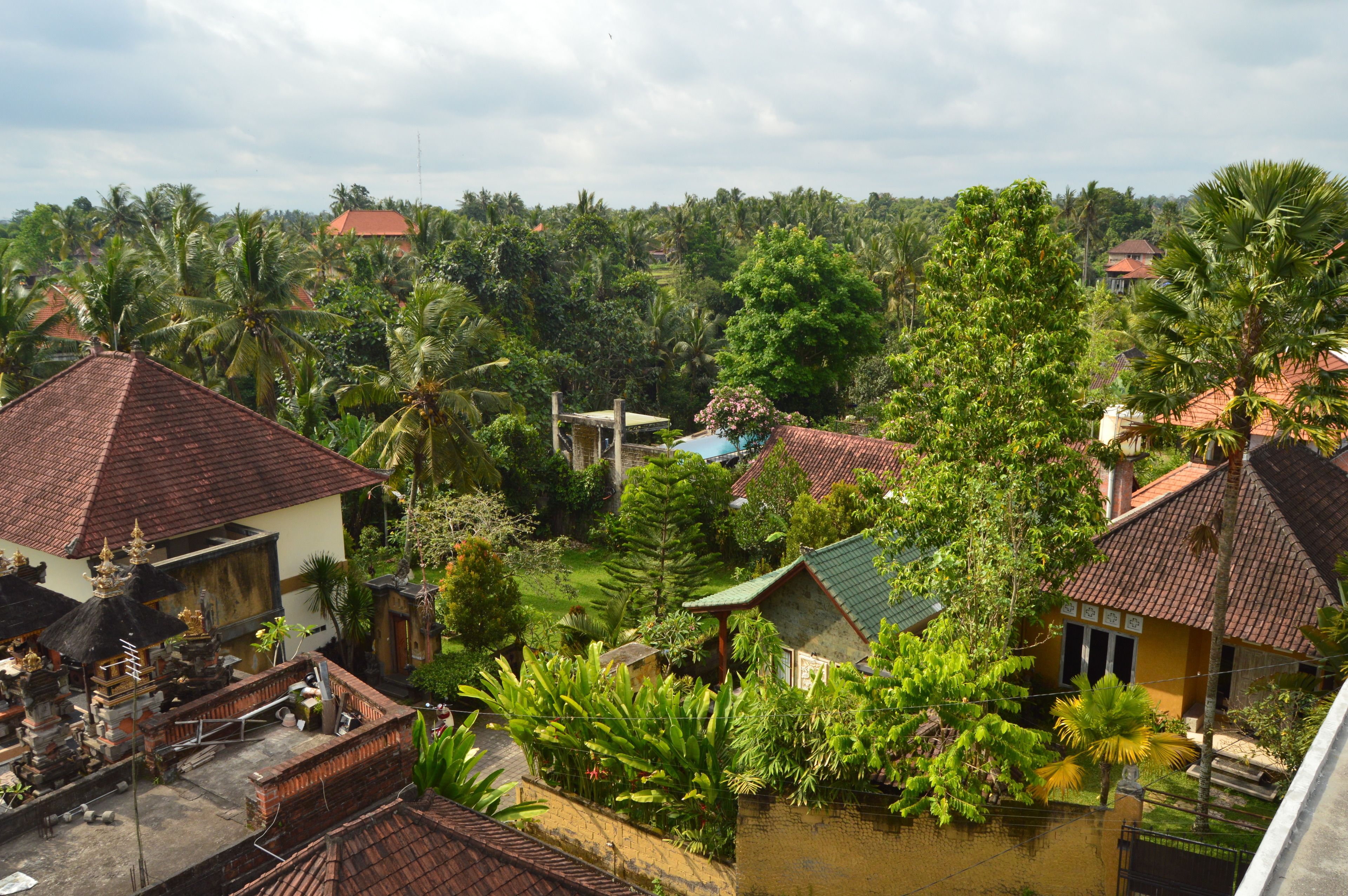 Askara Guest House & Hostel