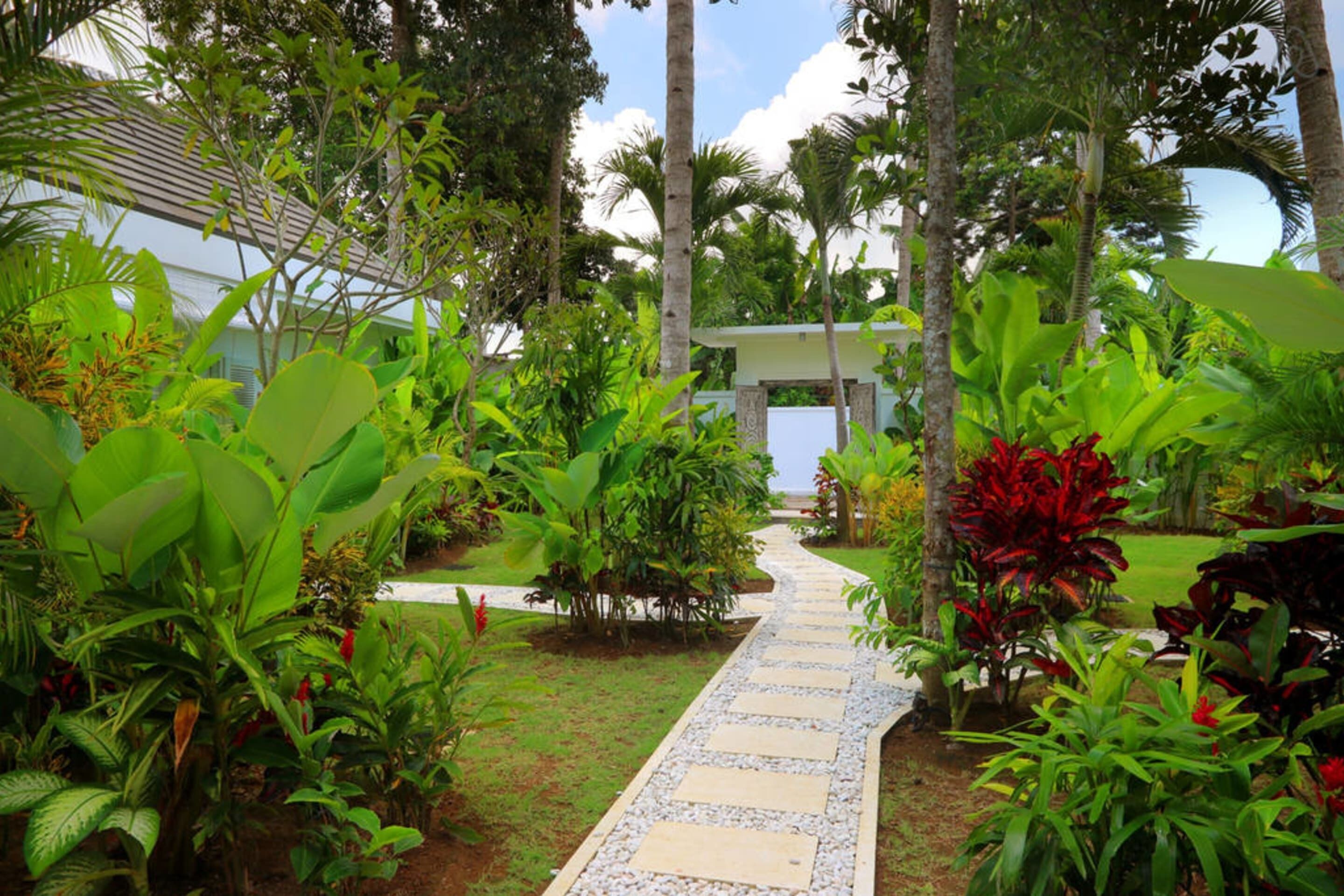 Astonishing Jungle Villa