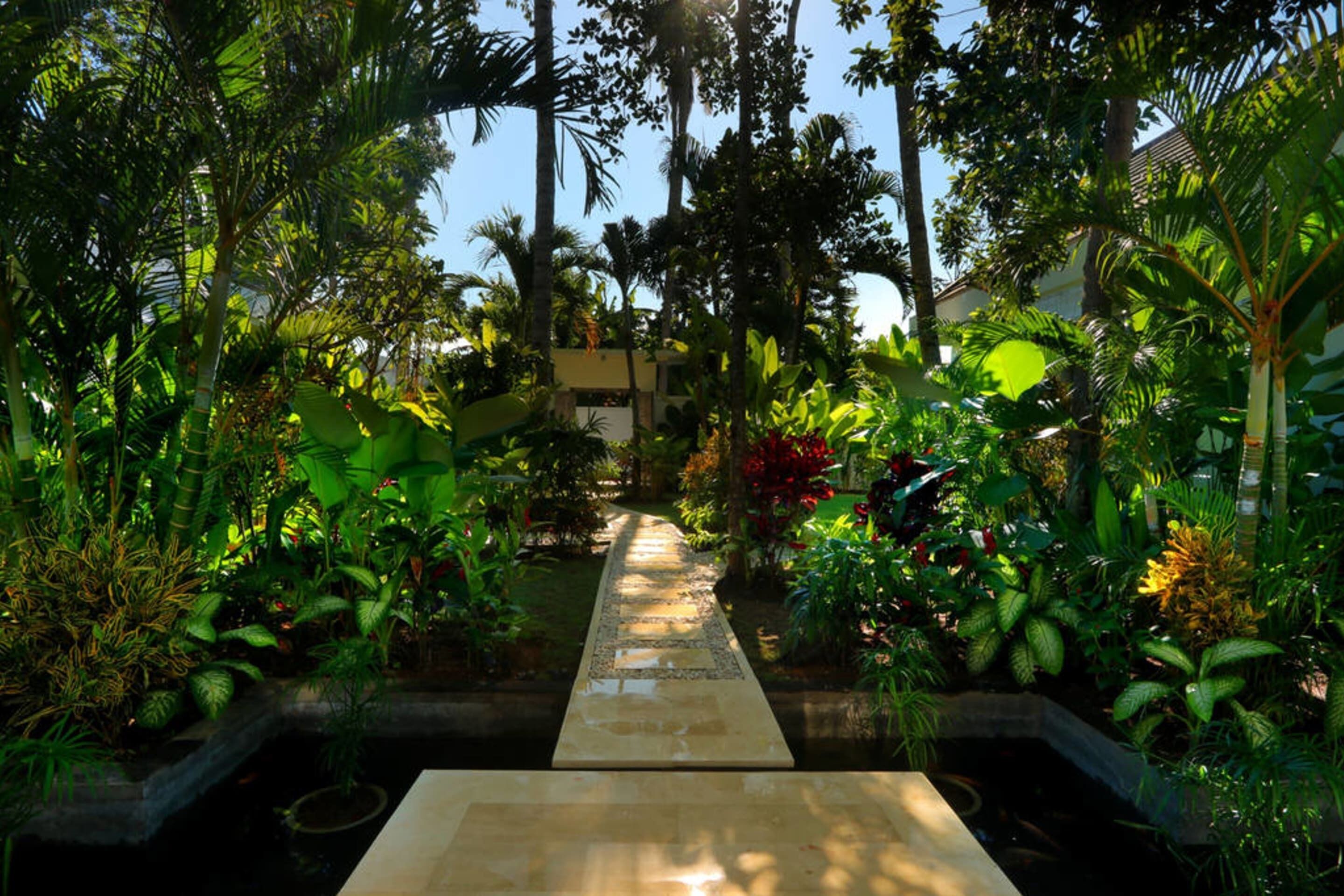 Astonishing Jungle Villa