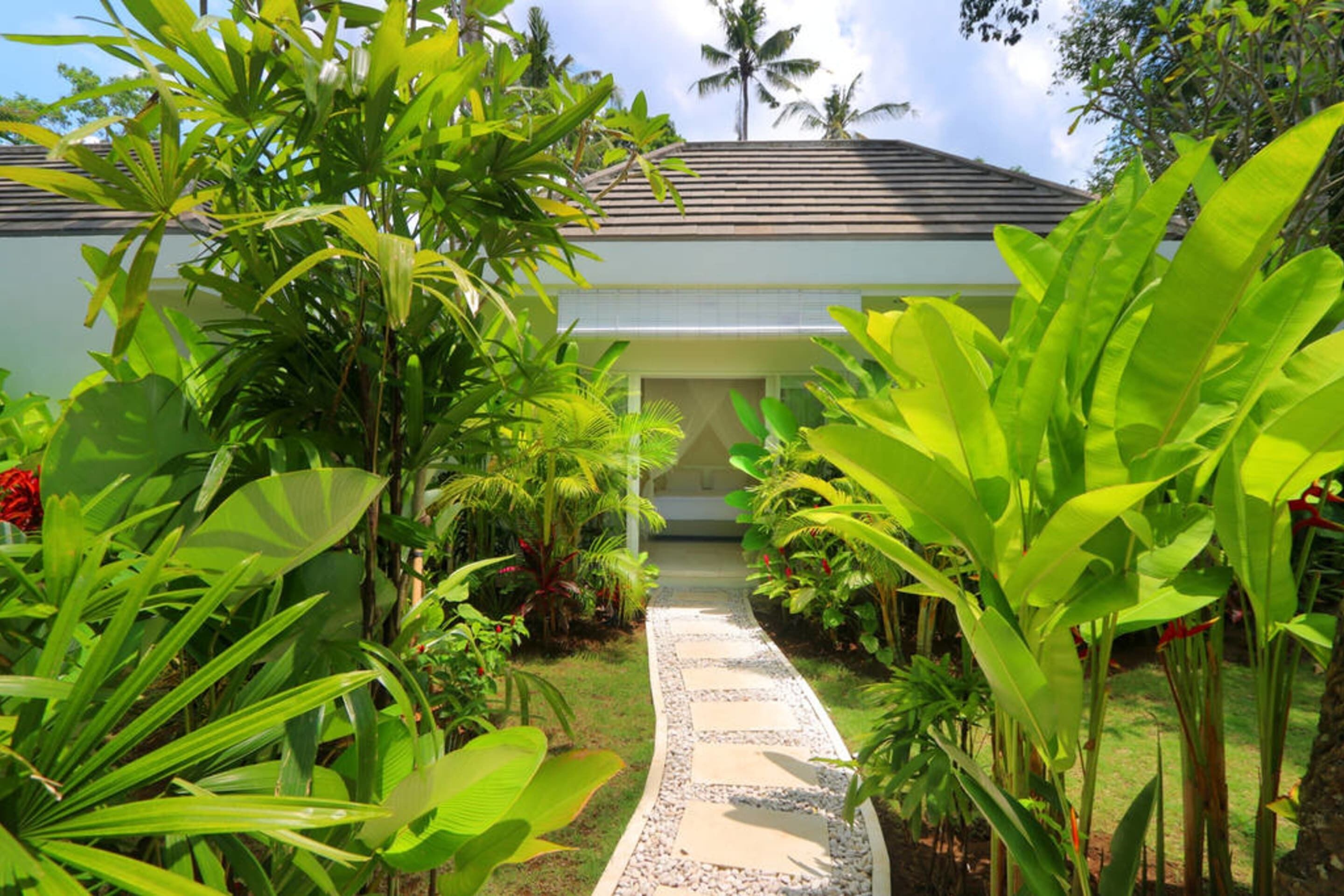 Astonishing Jungle Villa