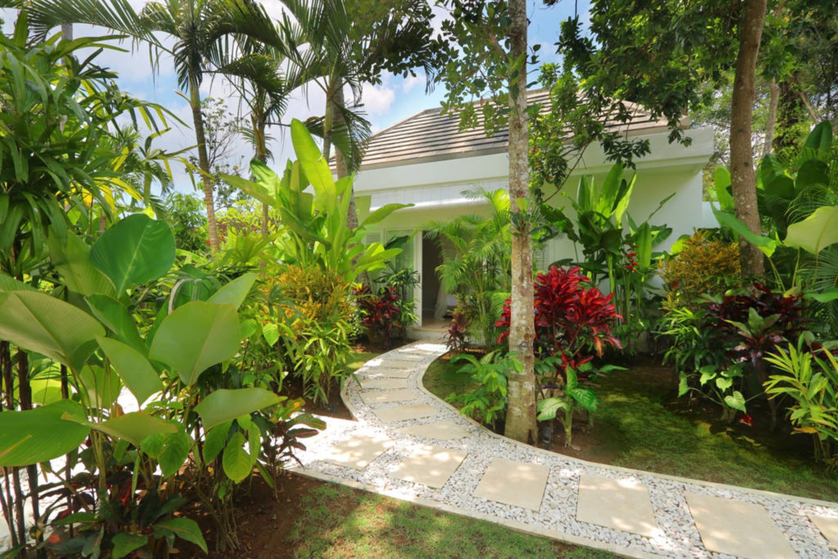Astonishing Jungle Villa