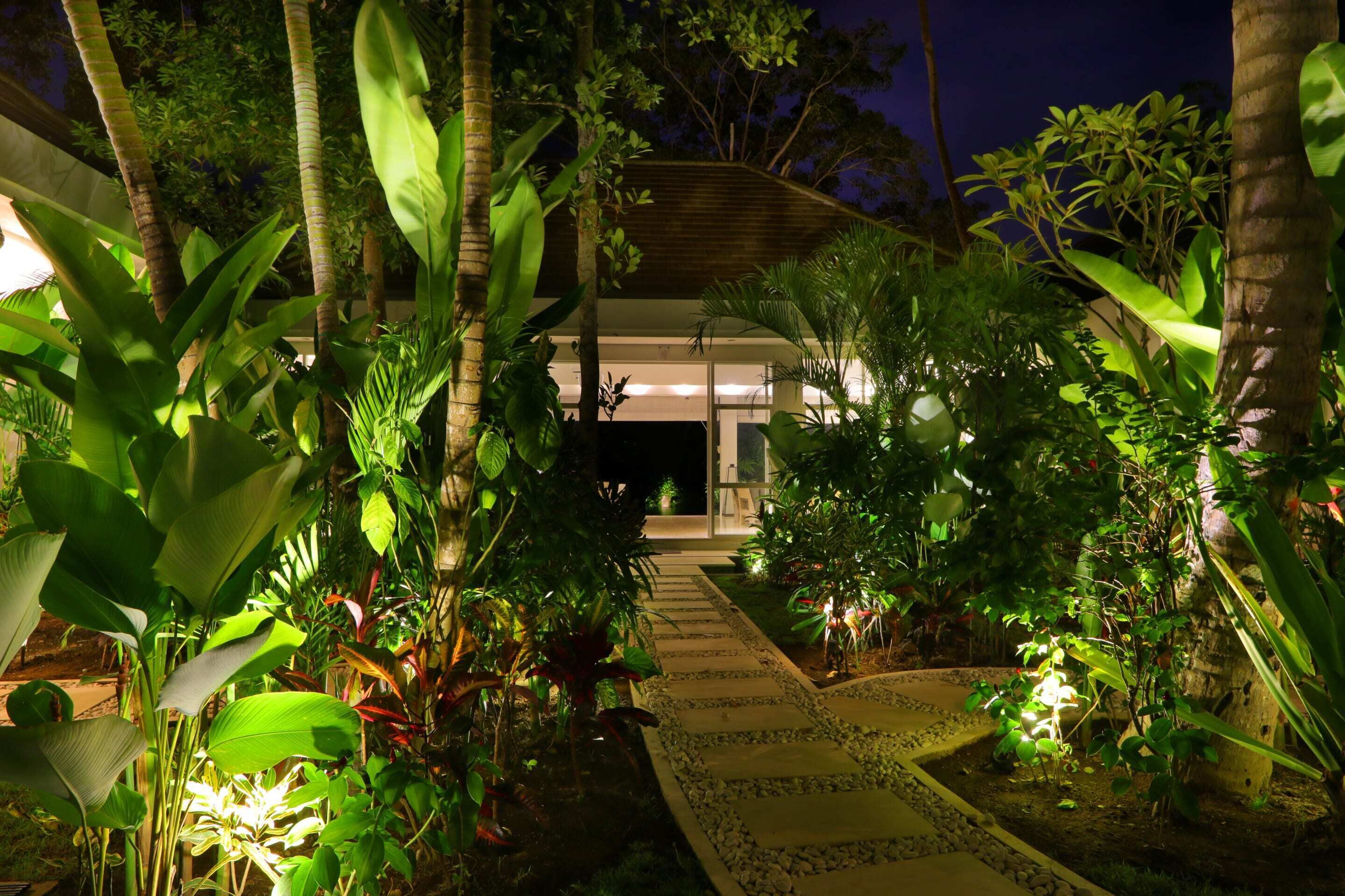 Astonishing Jungle Villa