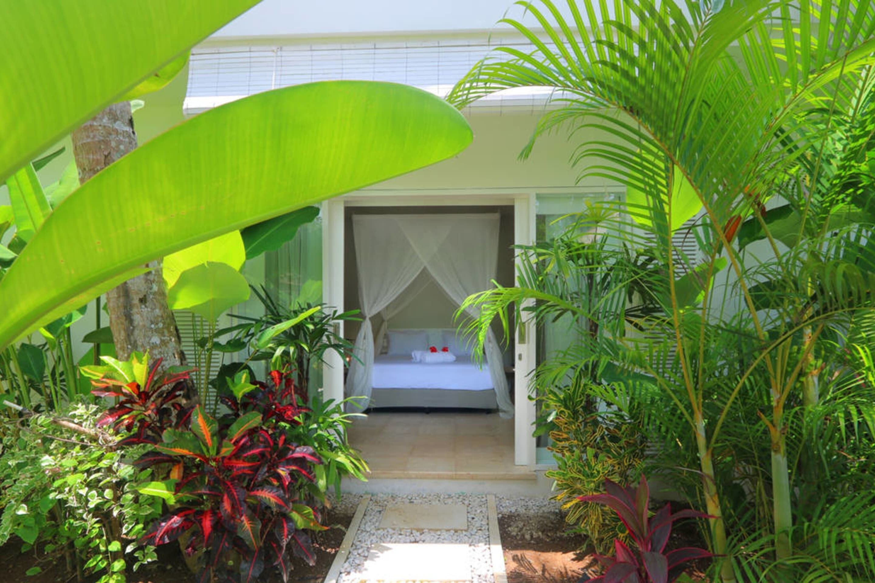 Astonishing Jungle Villa